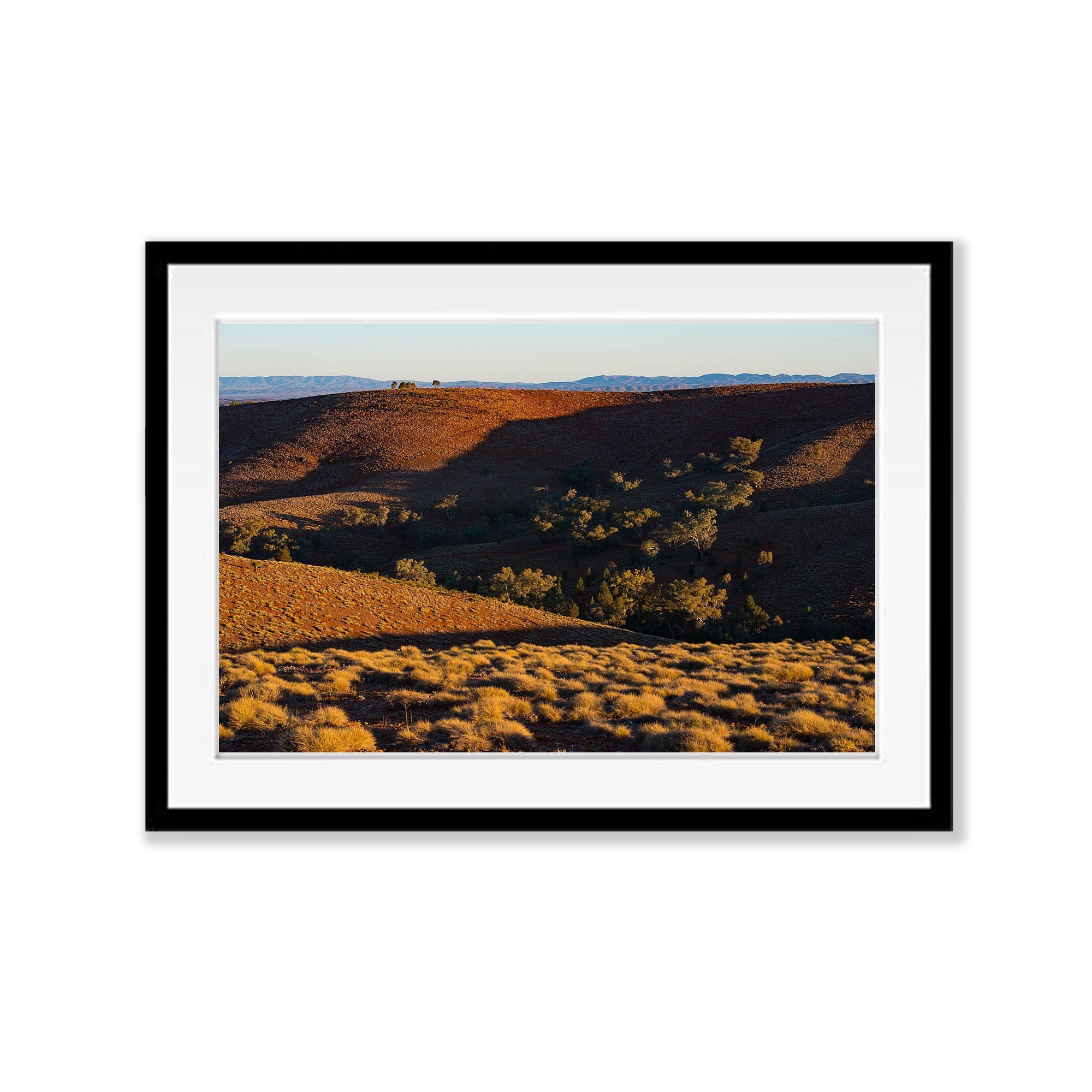 Golden Tranquility, Flinders Ranges, SA