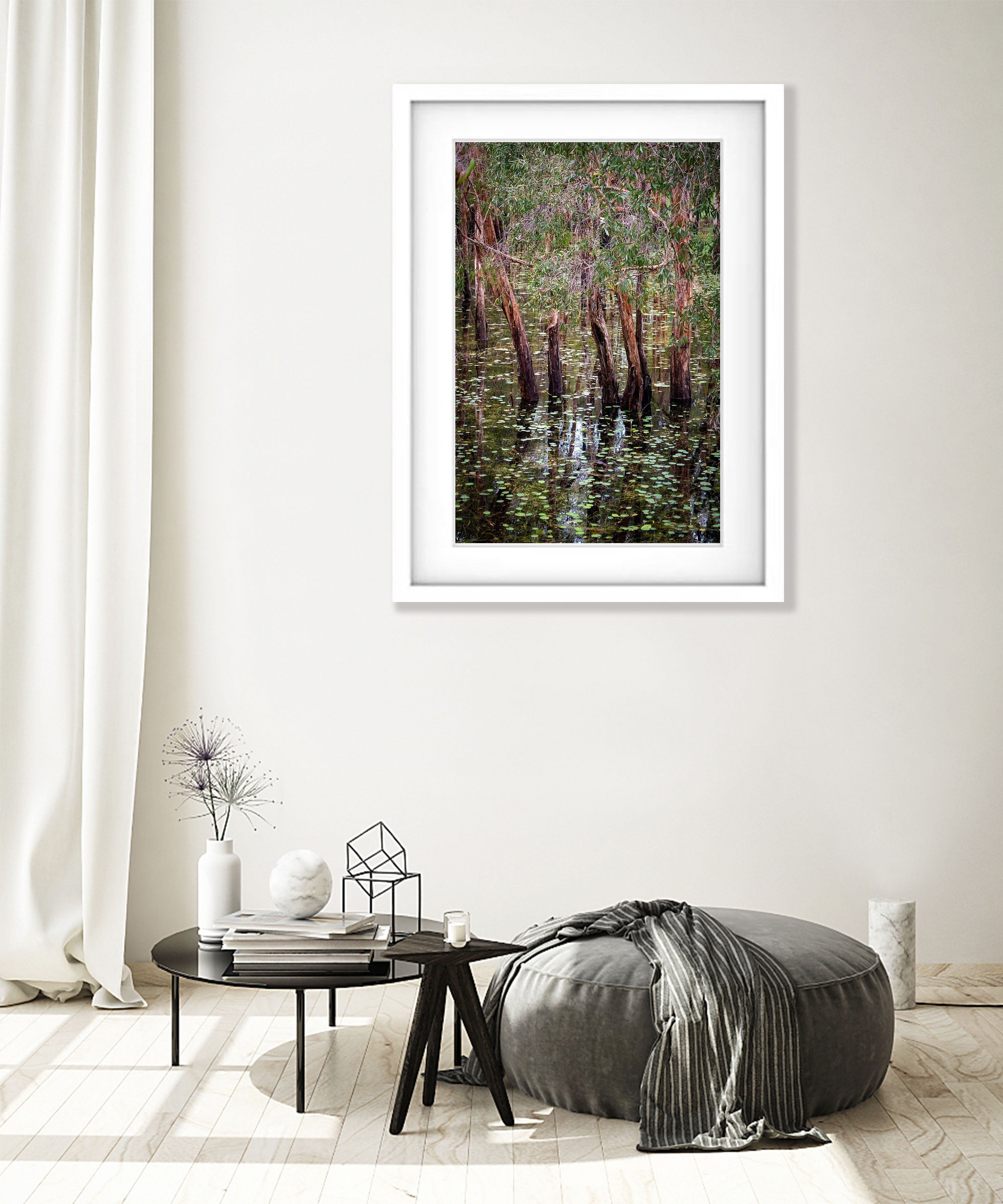 Flooded Paperbark Swamp, Arnhem Land, Northern Territory