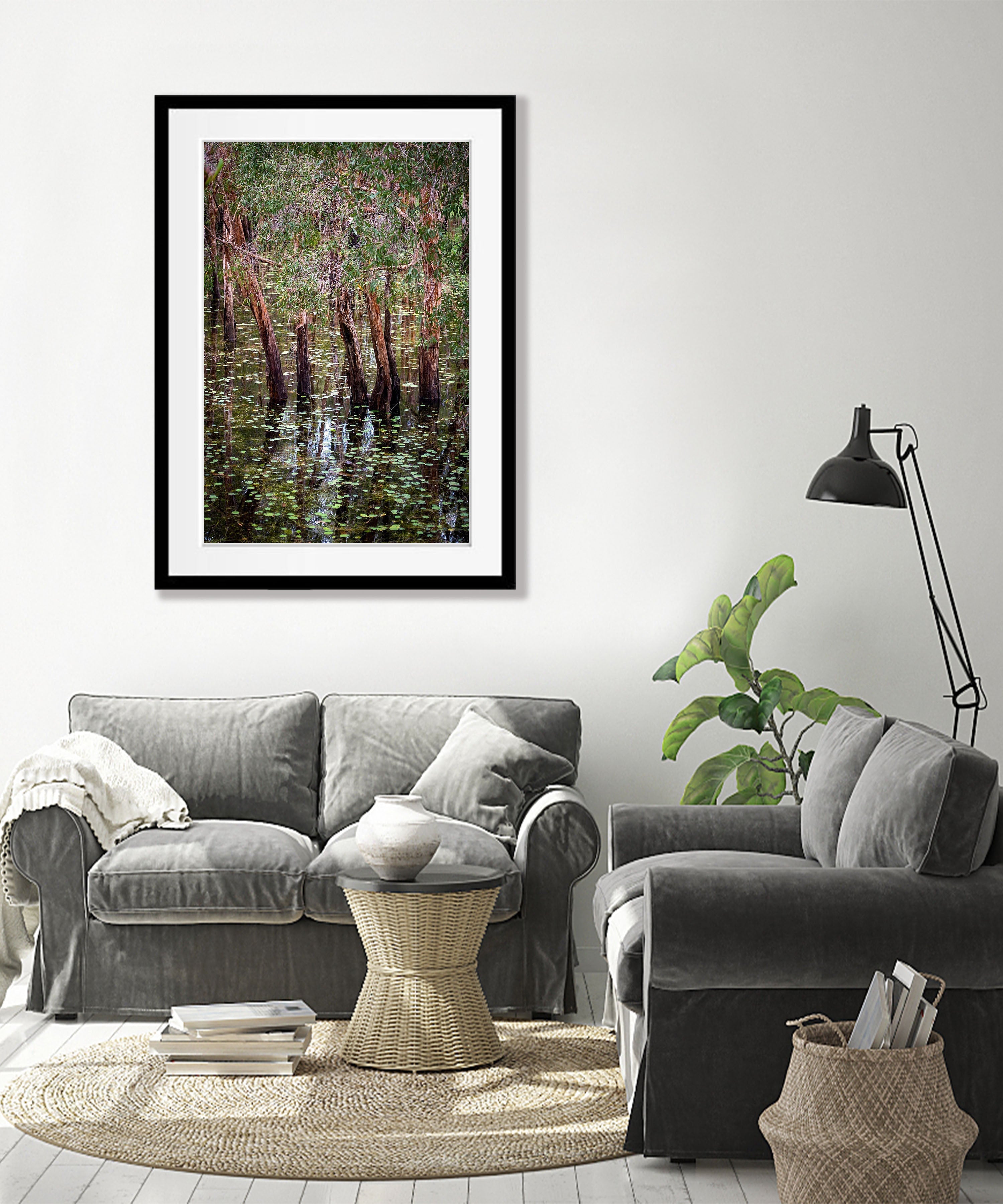 Flooded Paperbark Swamp, Arnhem Land, Northern Territory