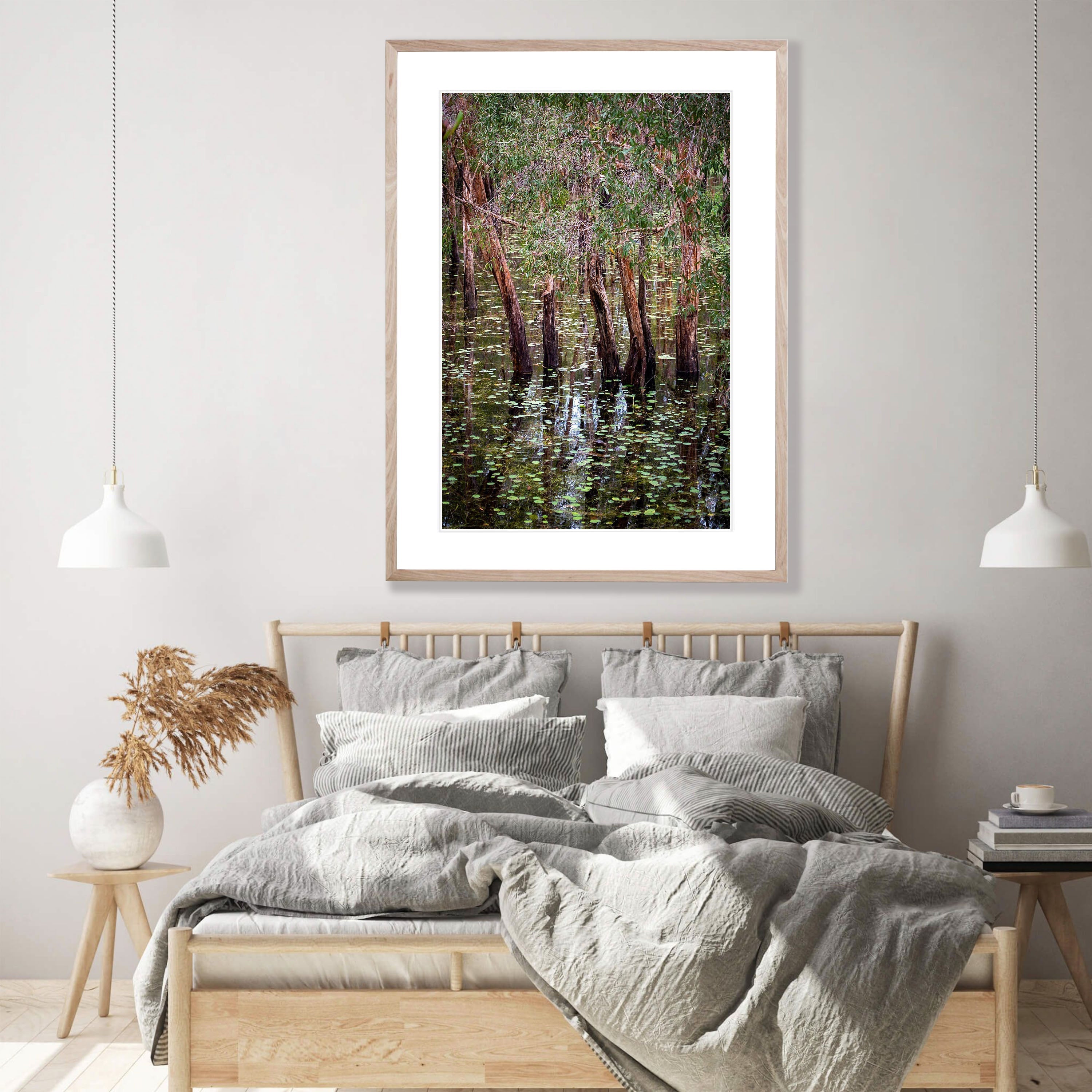 Flooded Paperbark Swamp, Arnhem Land, Northern Territory