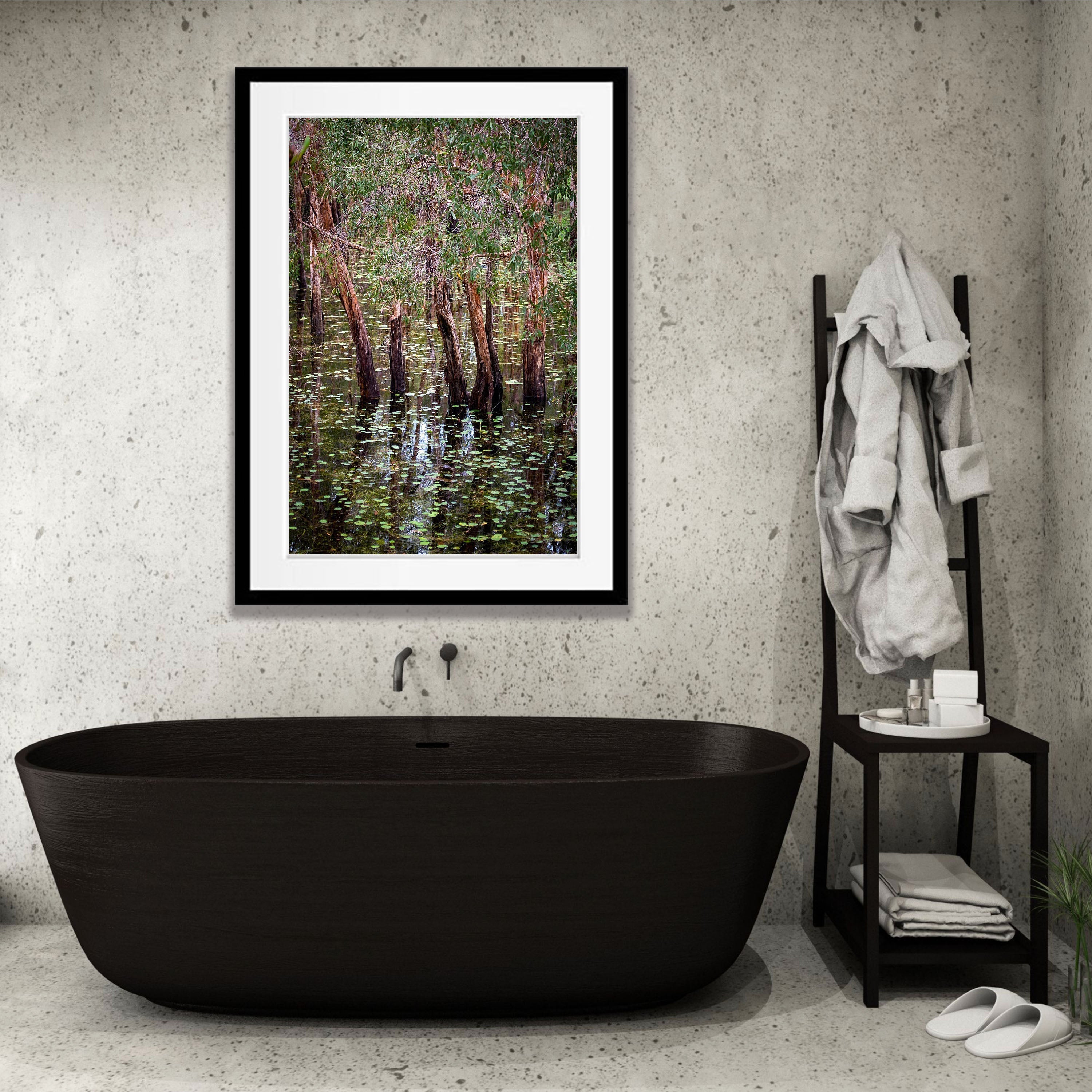 Flooded Paperbark Swamp, Arnhem Land, Northern Territory