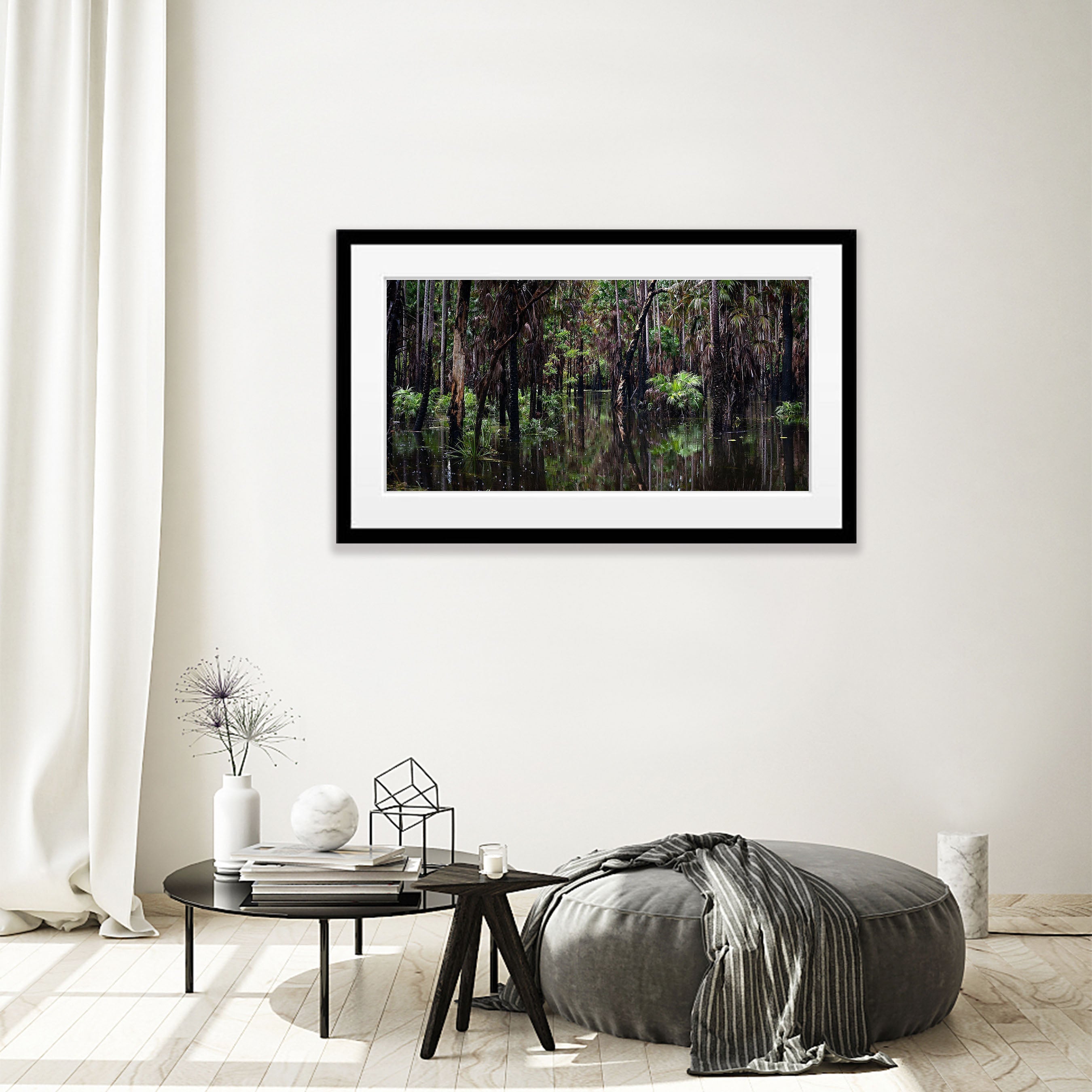 Flooded Swamp Forest, Arnhem Land, Northern Territory