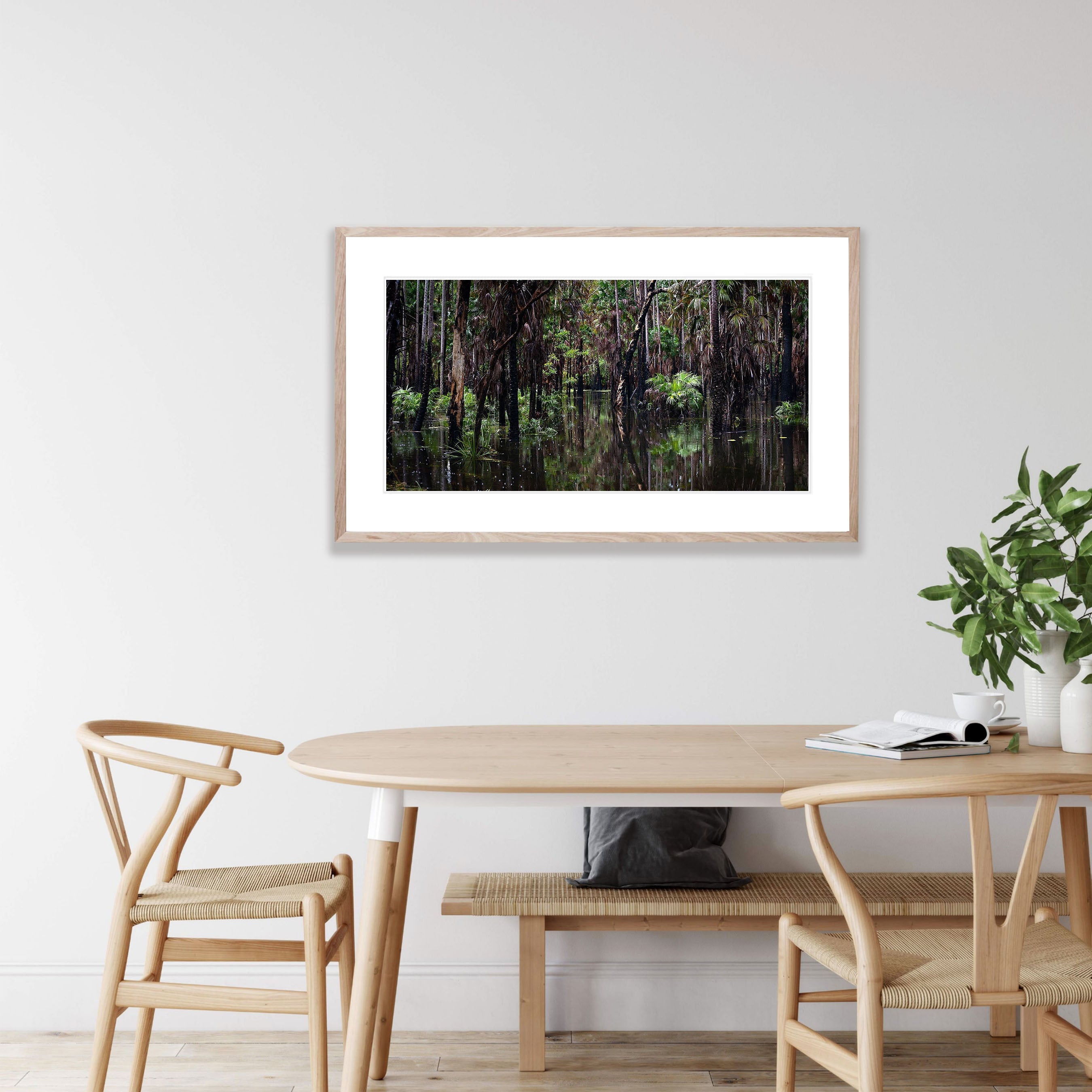 Flooded Swamp Forest, Arnhem Land, Northern Territory