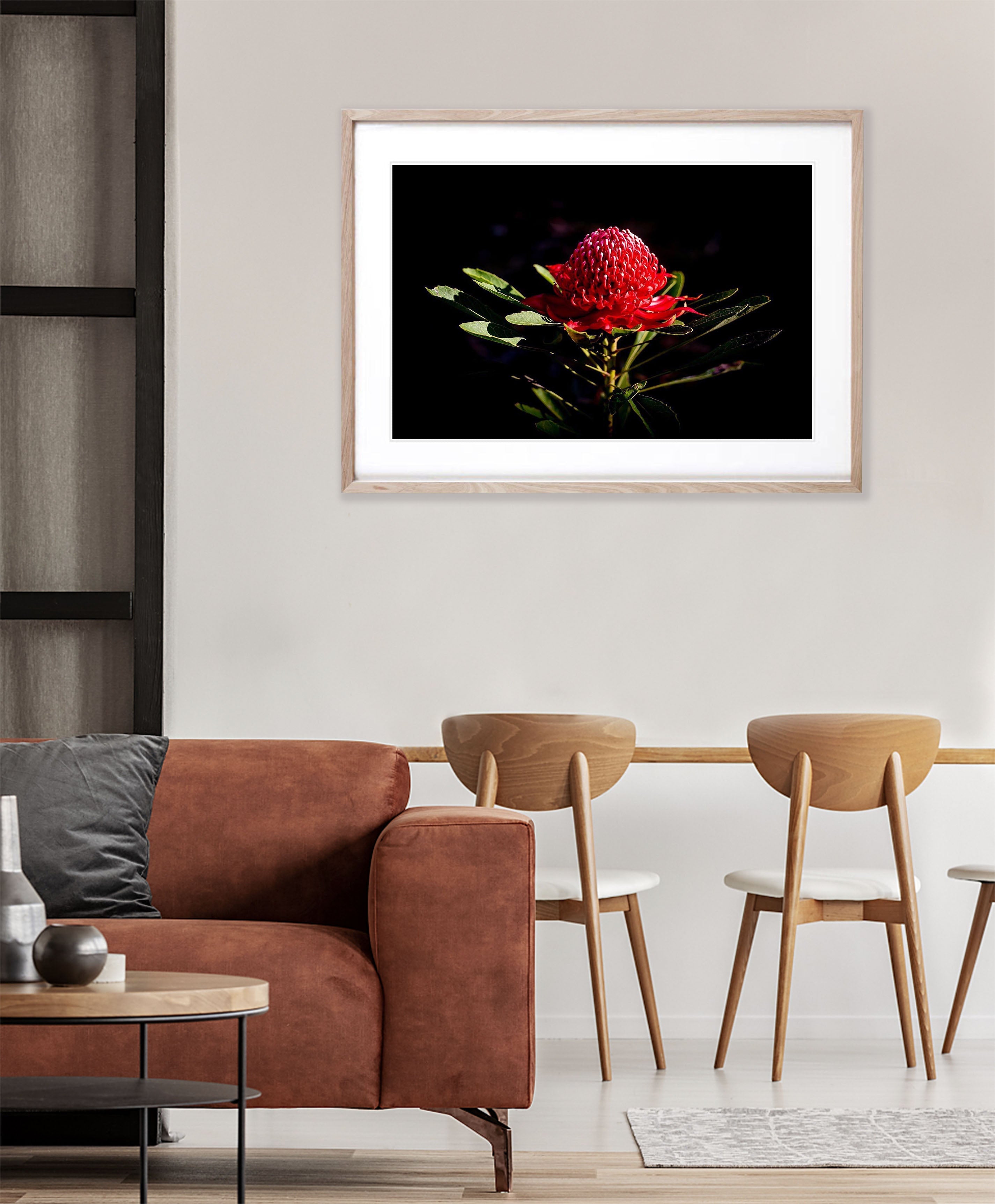 Flowering Waratah - Blue Mountains NSW