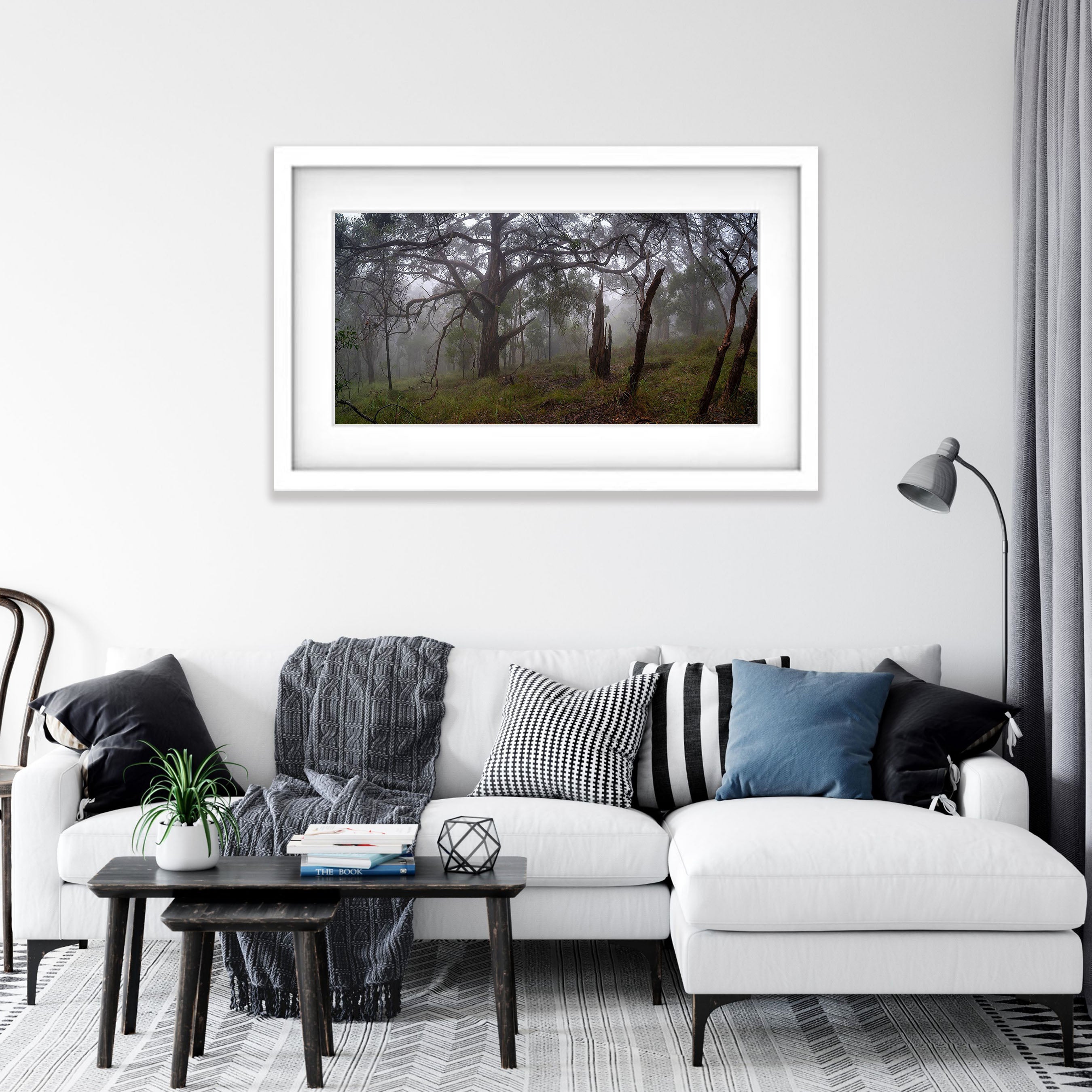 Fog in the forest, Arthurs Seat - Mornington Peninsula, VIC