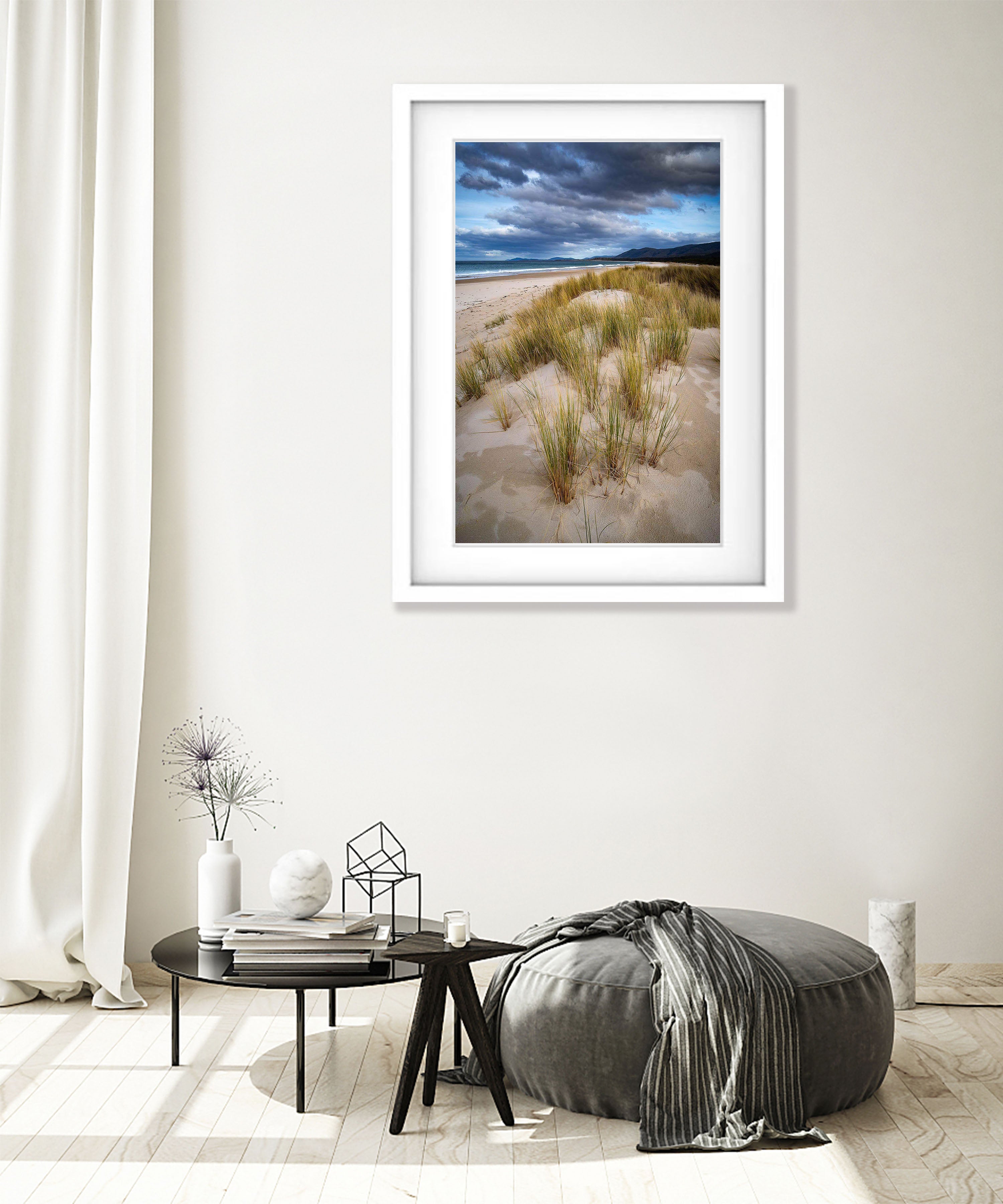 Foredune Grasses, Bay of Fires