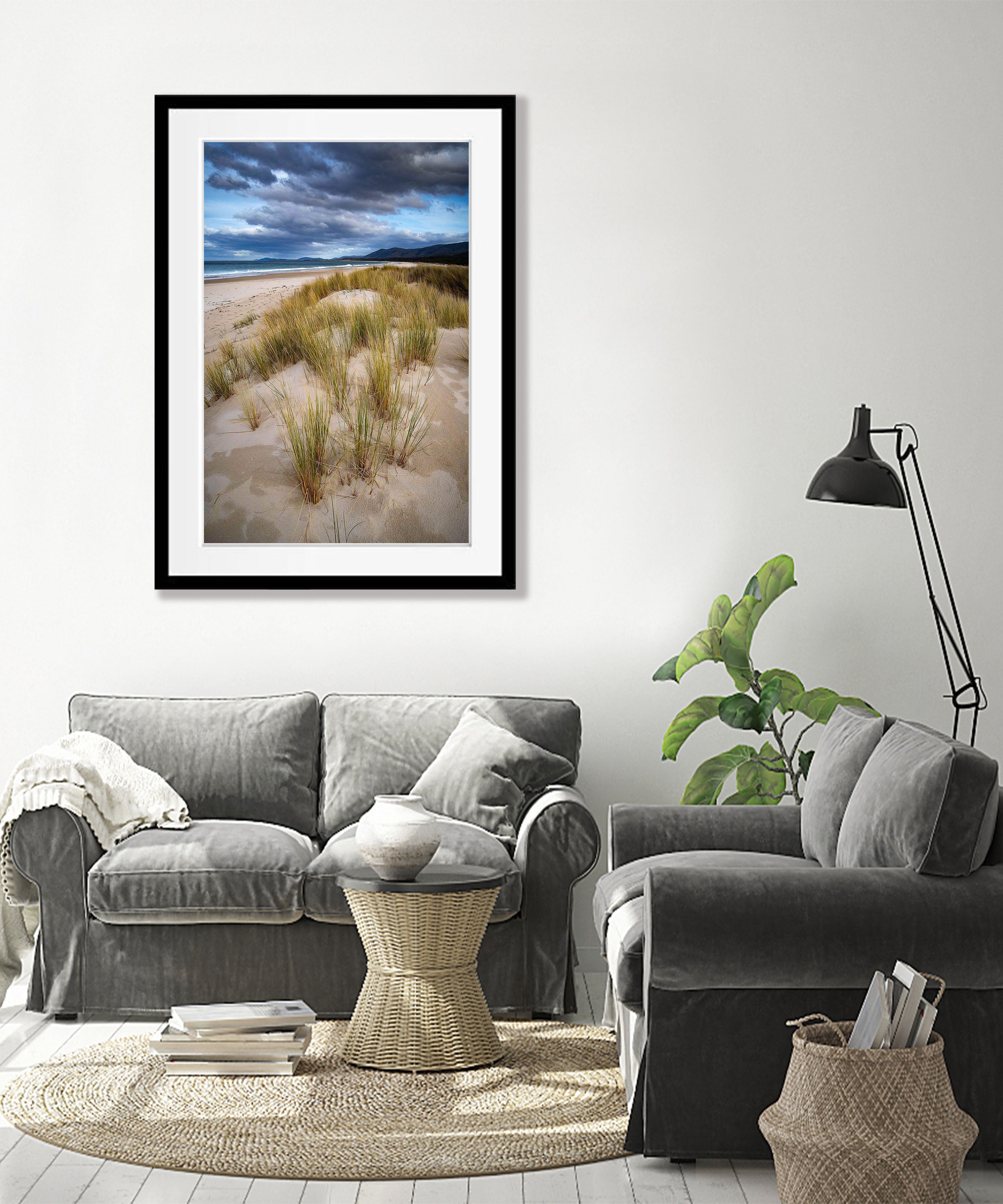 Foredune Grasses, Bay of Fires