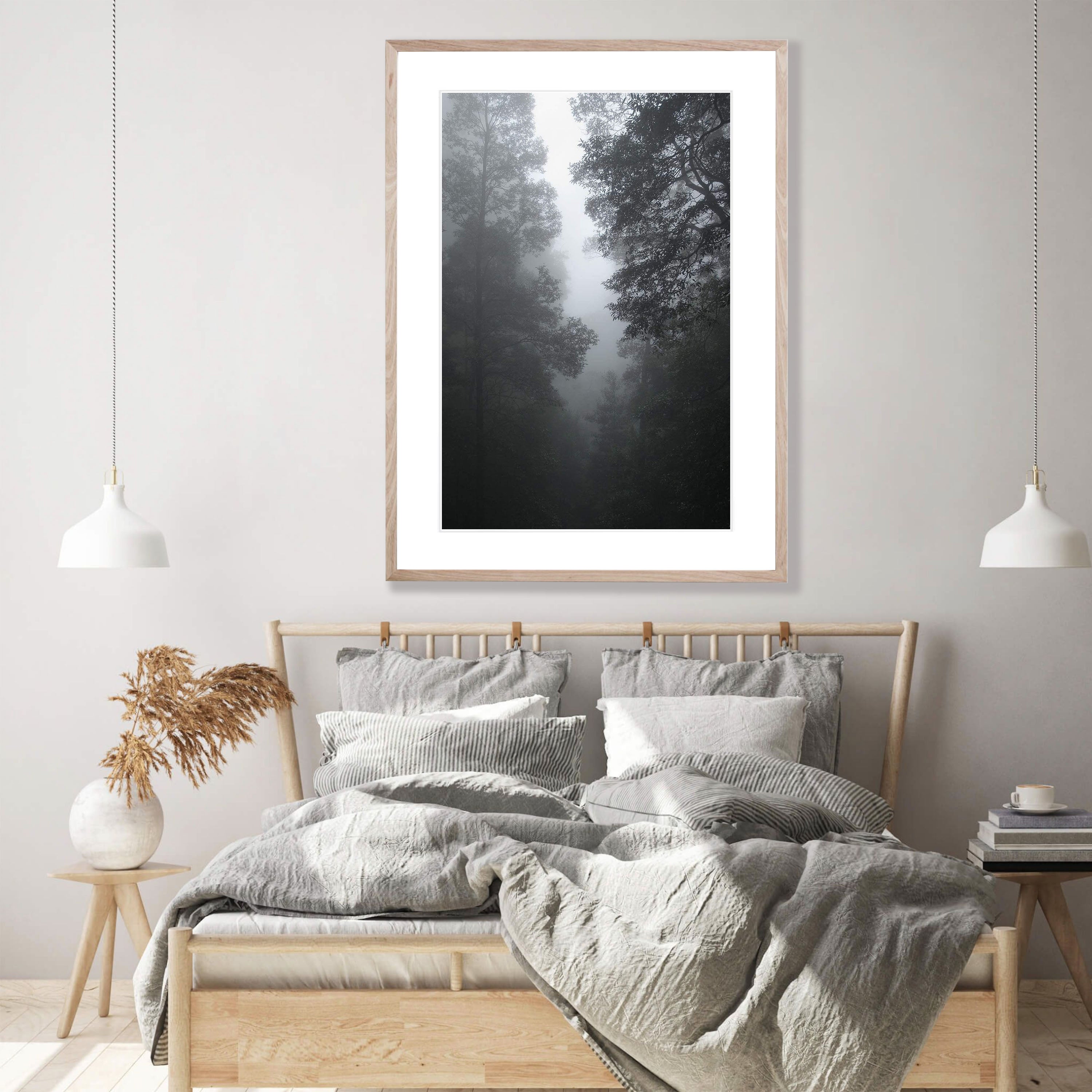 Forest Mist - Blue Mountains NSW