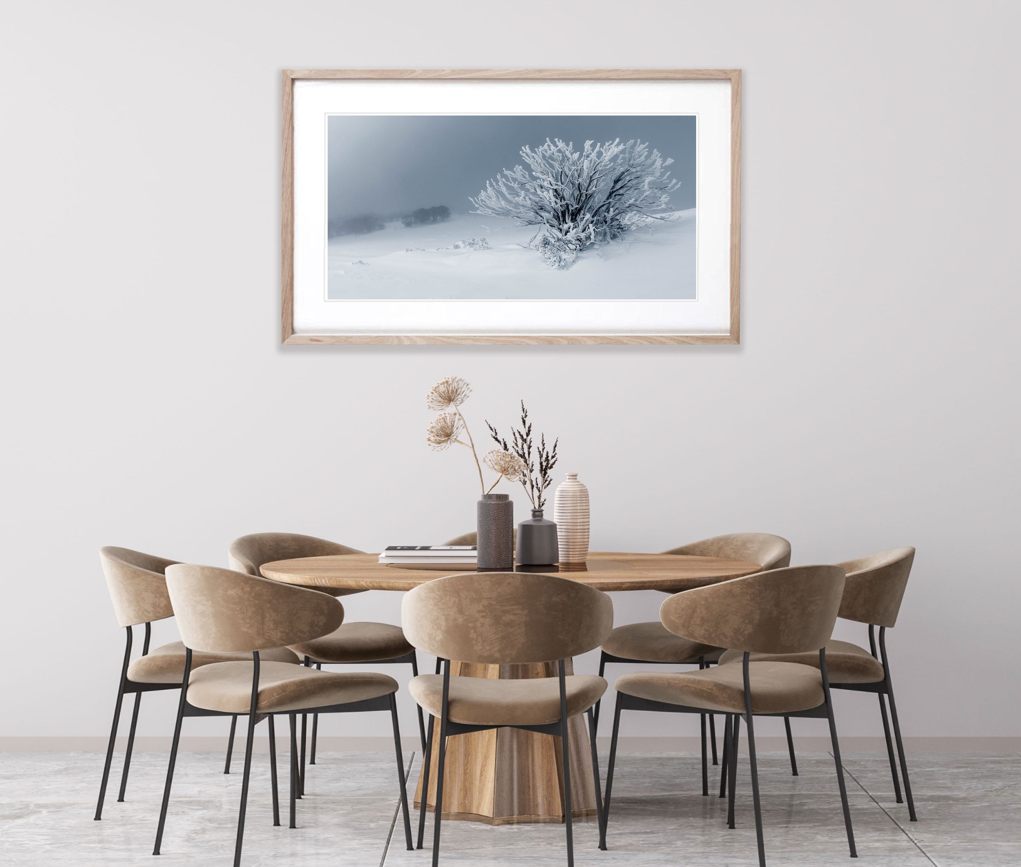 Frozen Snow Gum, Mount Stirling