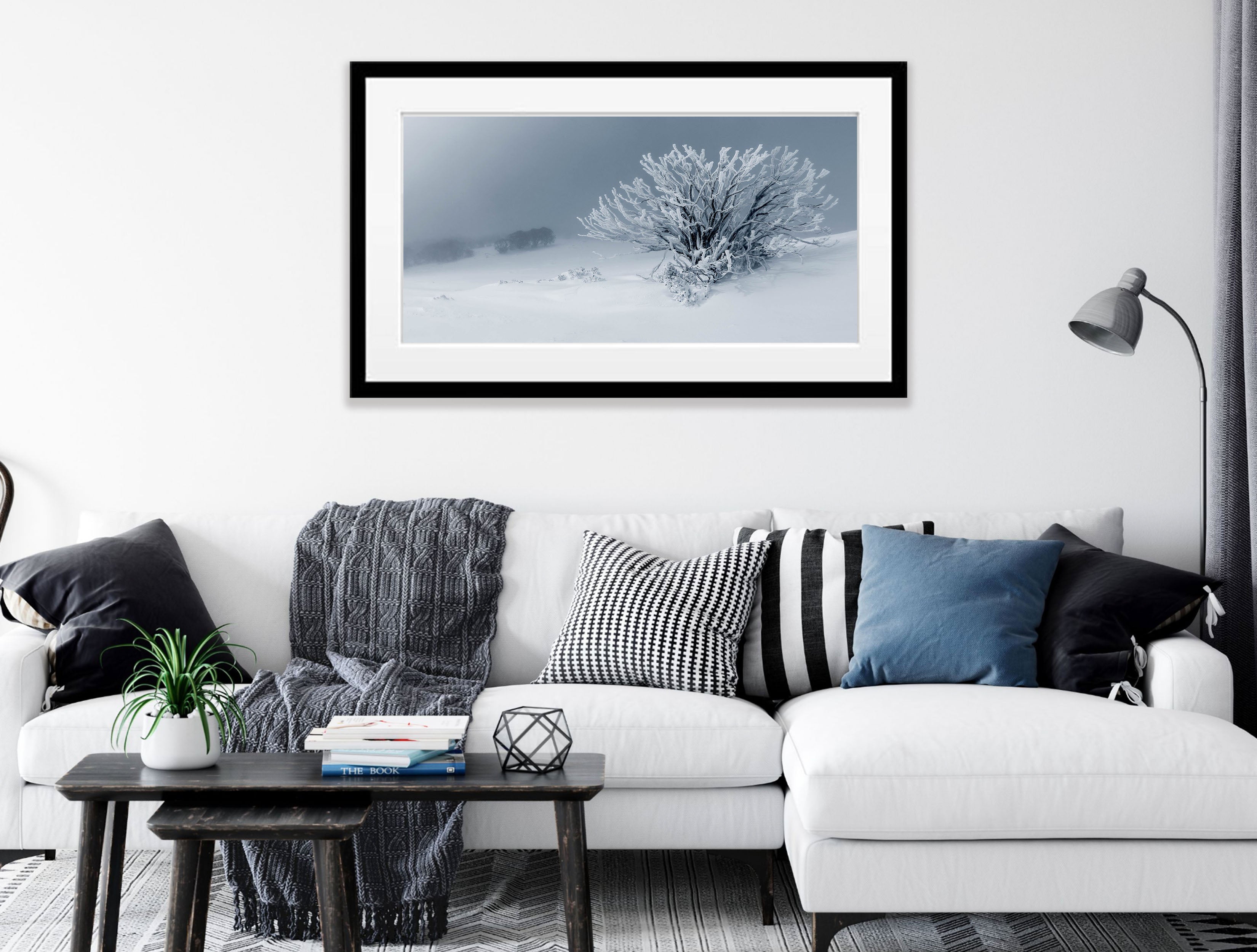 Frozen Snow Gum, Mount Stirling