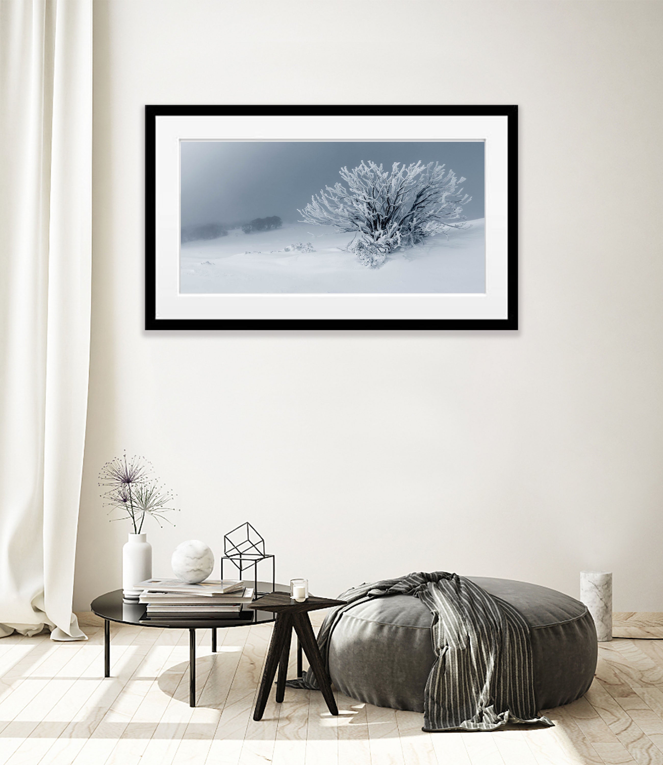 Frozen Snow Gum, Mount Stirling