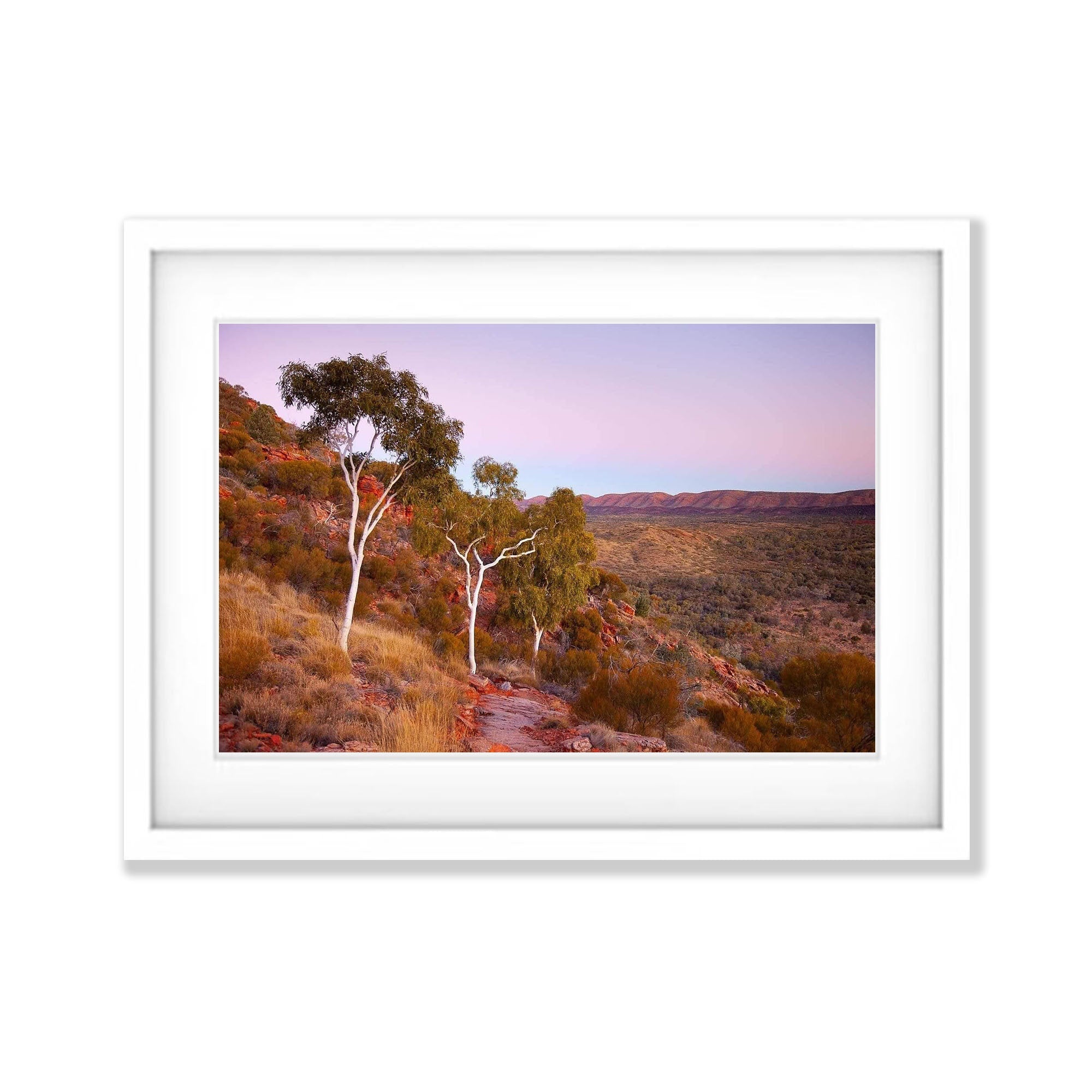 Ghost Gums Dusk - West Macdonnell Ranges, NT