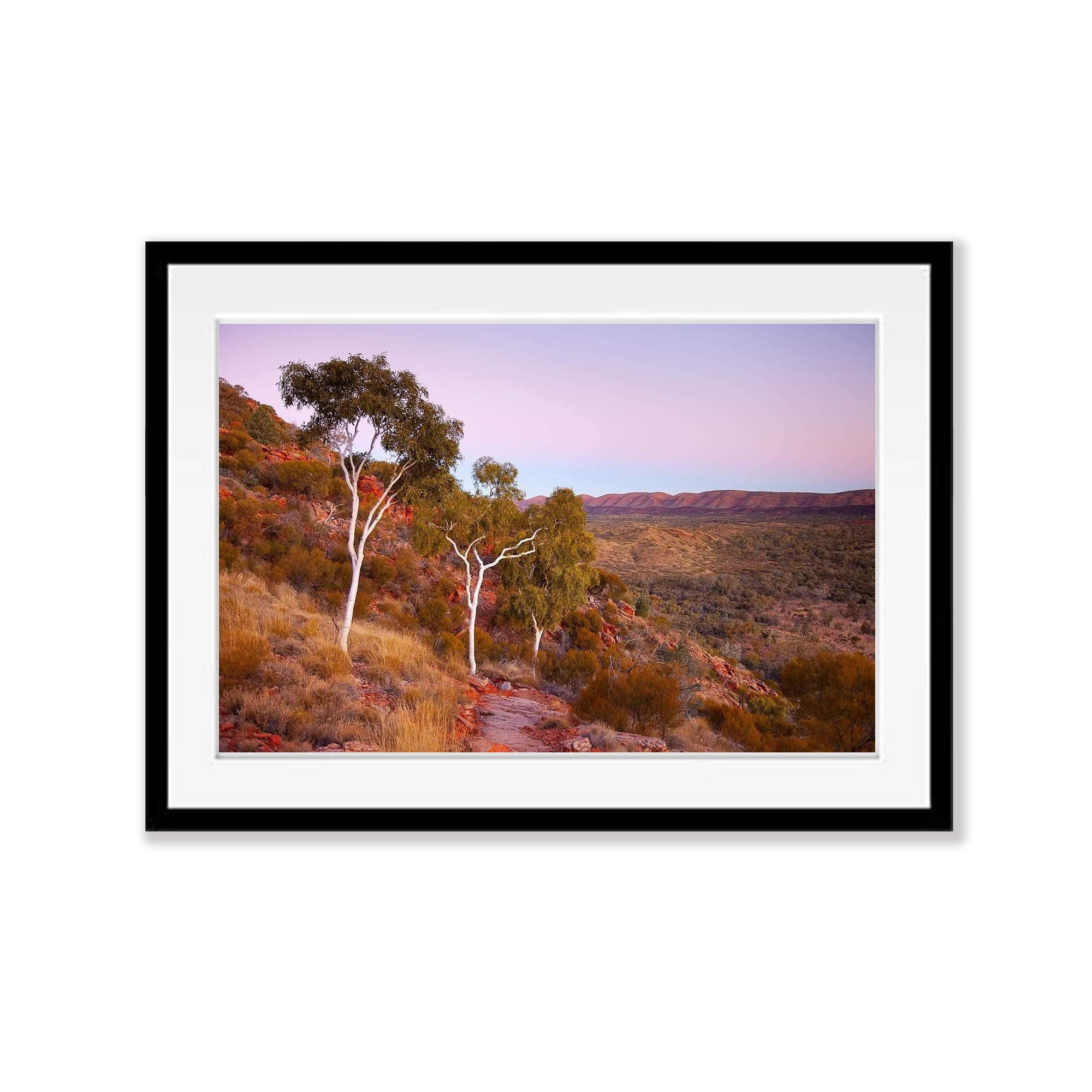 Ghost Gums Dusk - West Macdonnell Ranges, NT