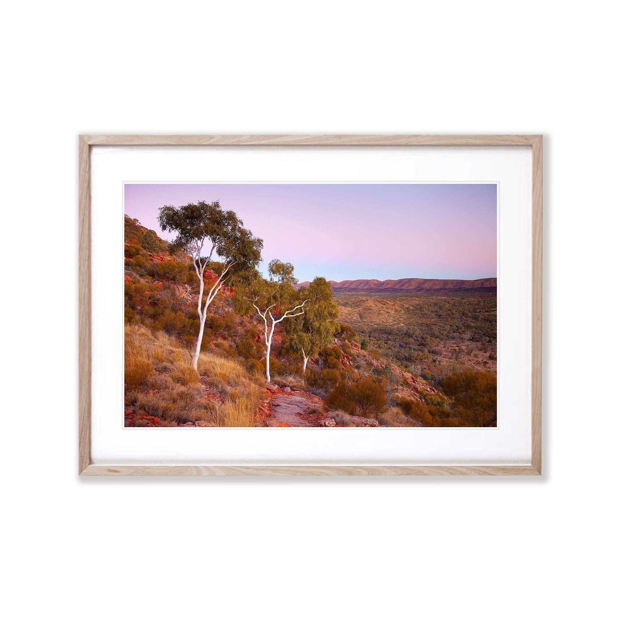 Ghost Gums at dusk, West Macdonnell Ranges, NT