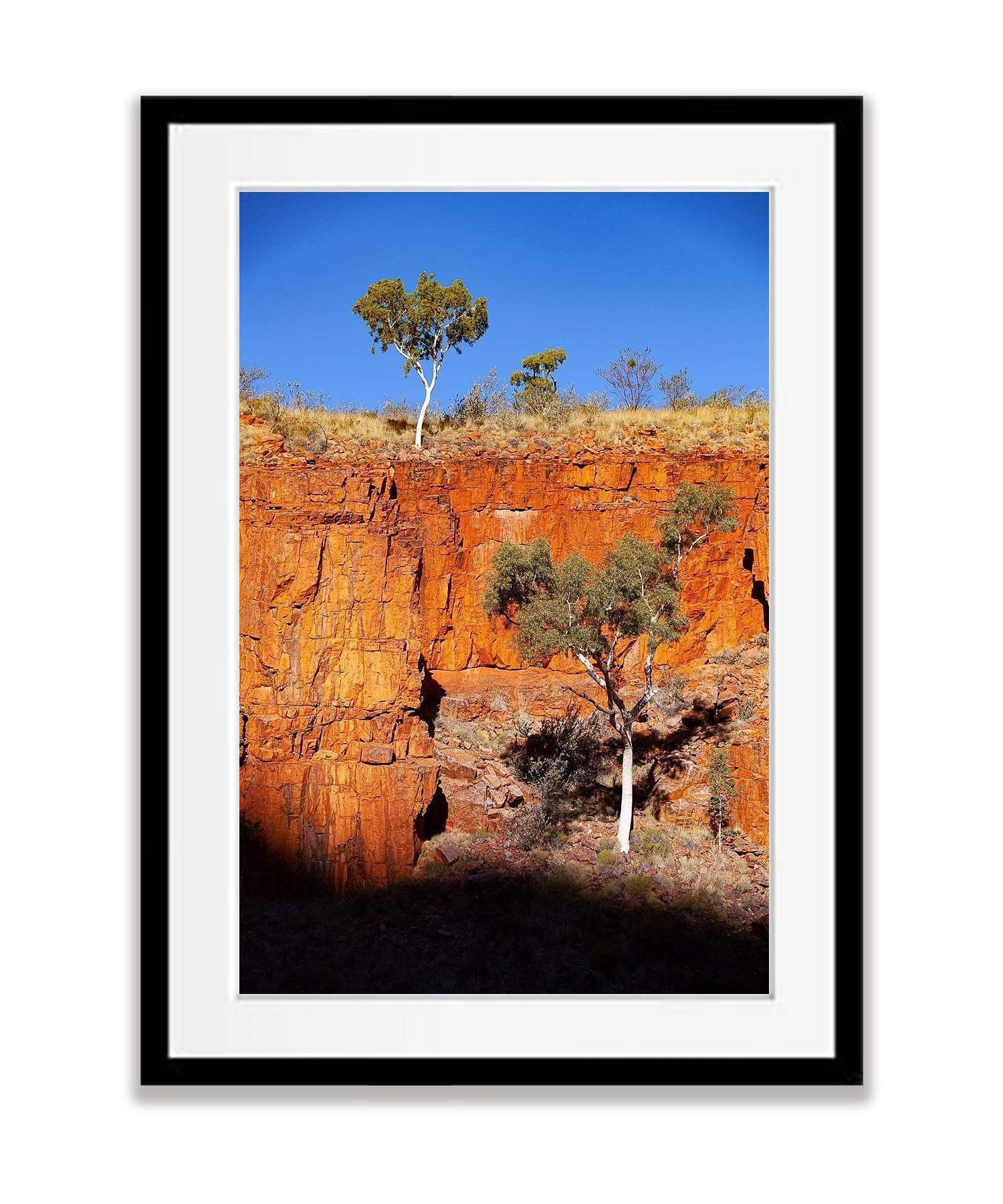 Ghost Gums, Ormiston Gorge - West Macdonnell Ranges, NT