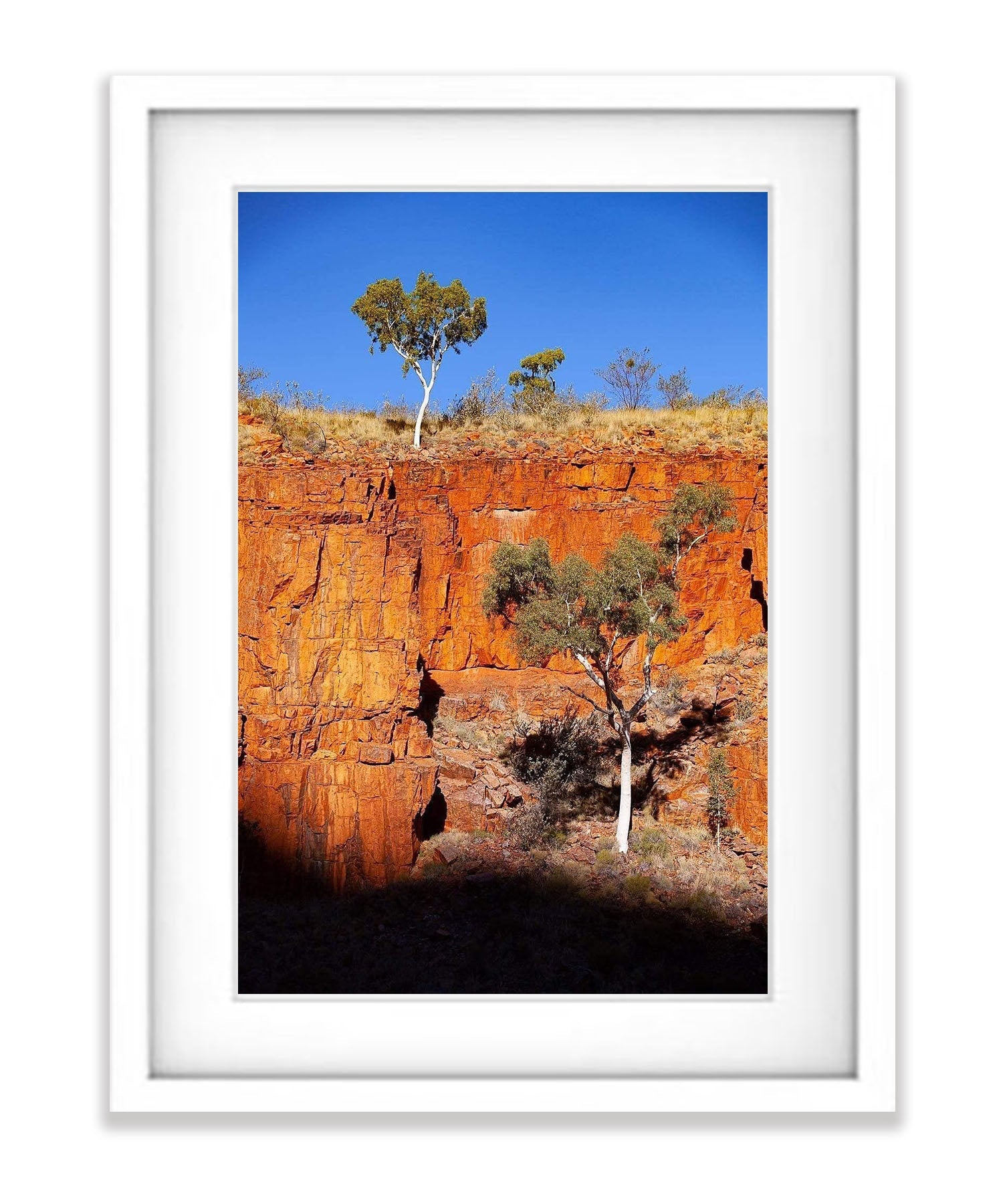 Ghost Gums, Ormiston Gorge - West Macdonnell Ranges, NT