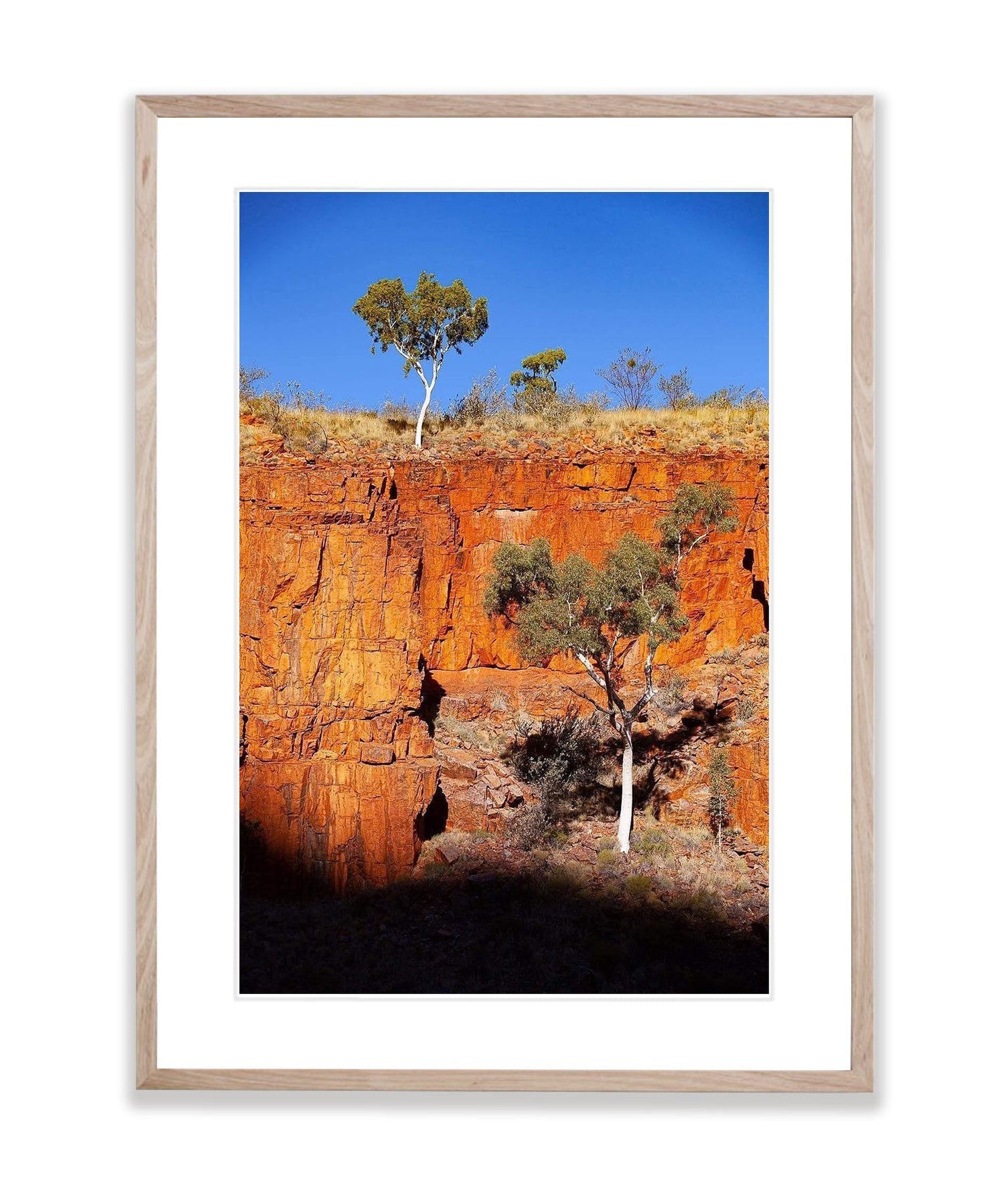 Ghost Gums, Ormiston Gorge - West Macdonnell Ranges, NT