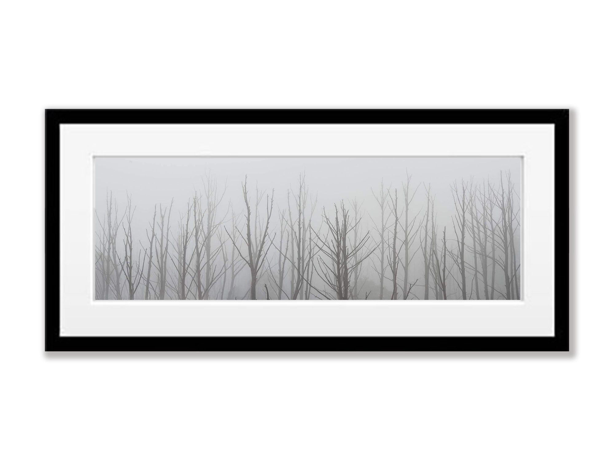 Ghost Trees - Falls Creek, VIC