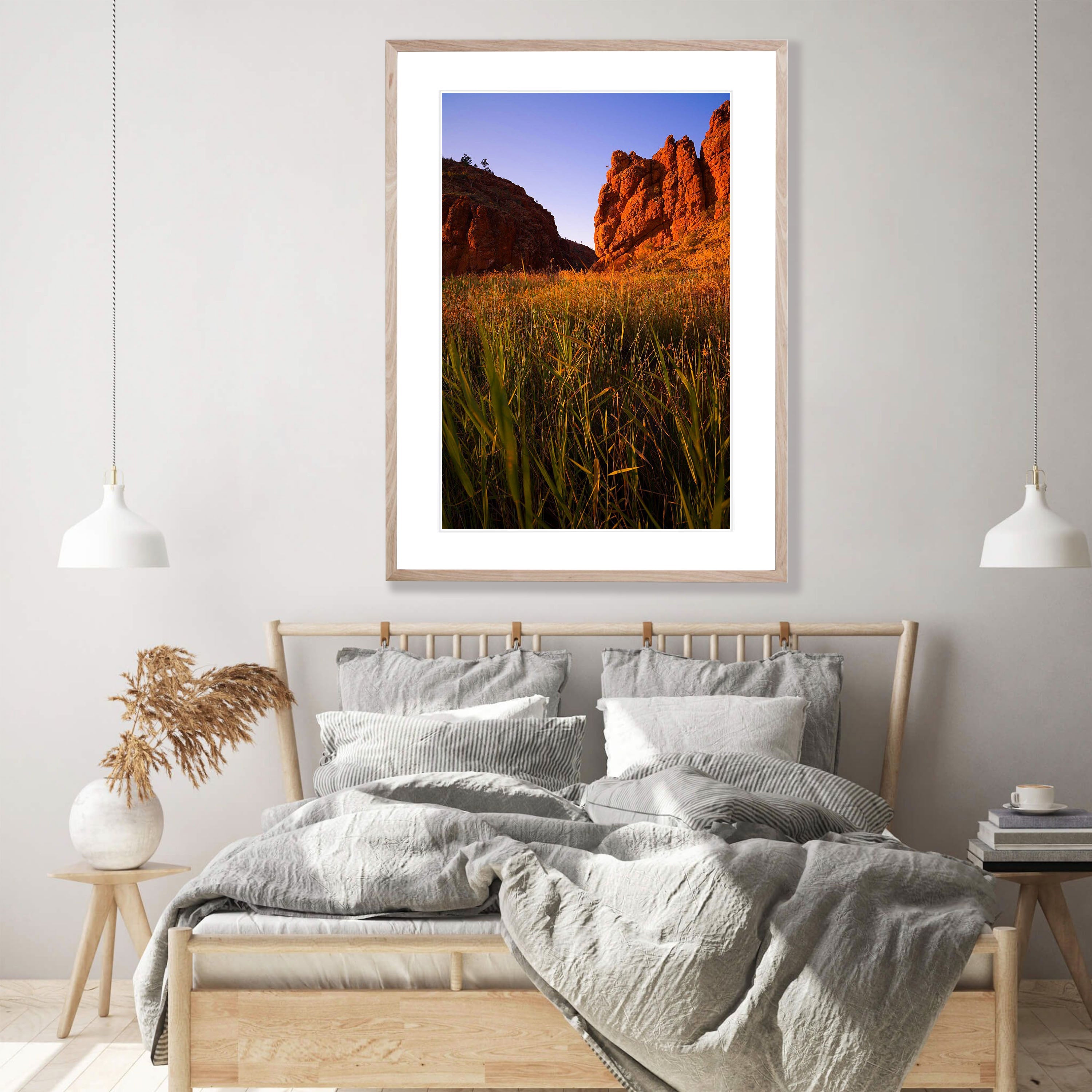 Glen Helen Gorge reed bed, West MacDonnell Ranges - Northern Territory