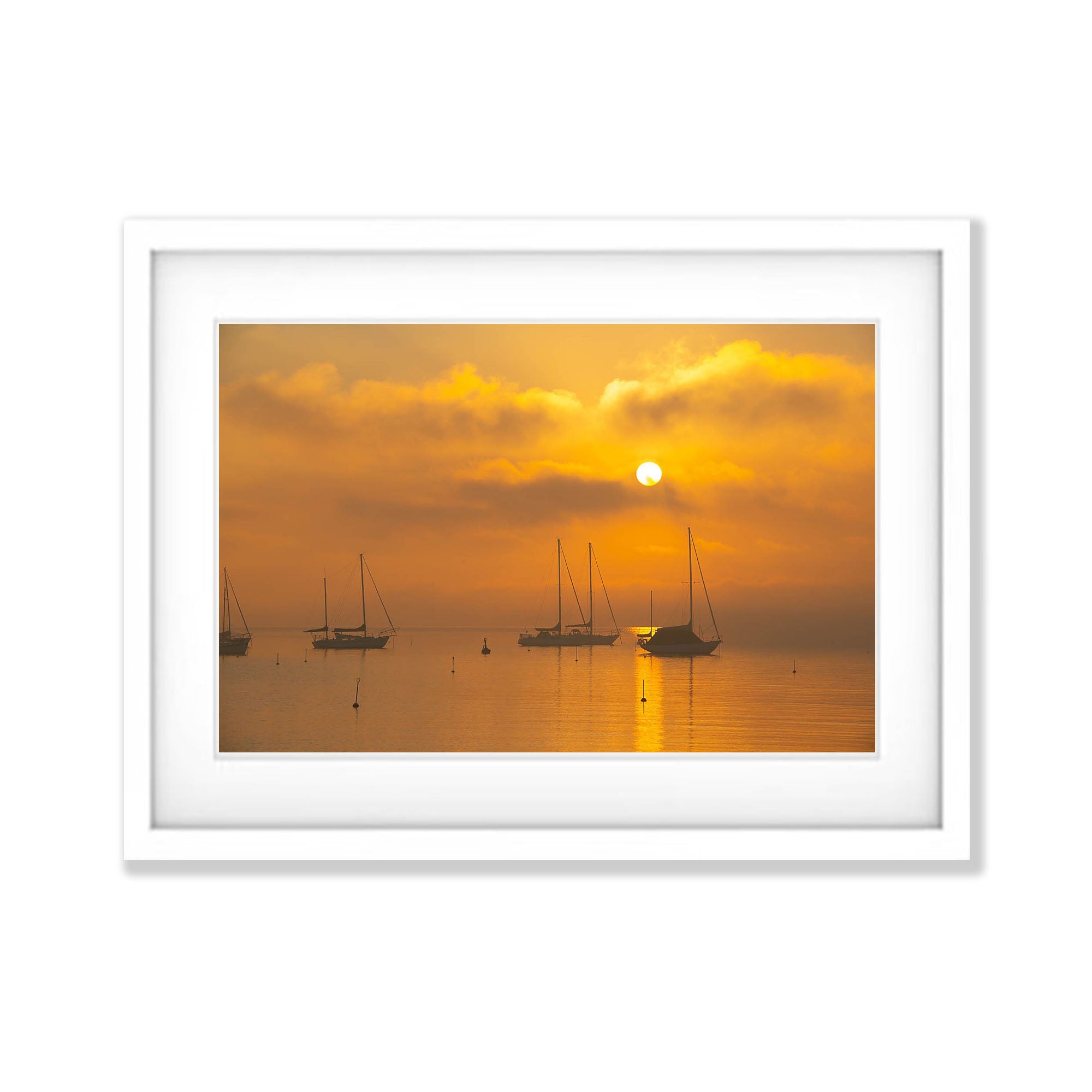 Golden Glow, Sorrento - Mornington Peninsula