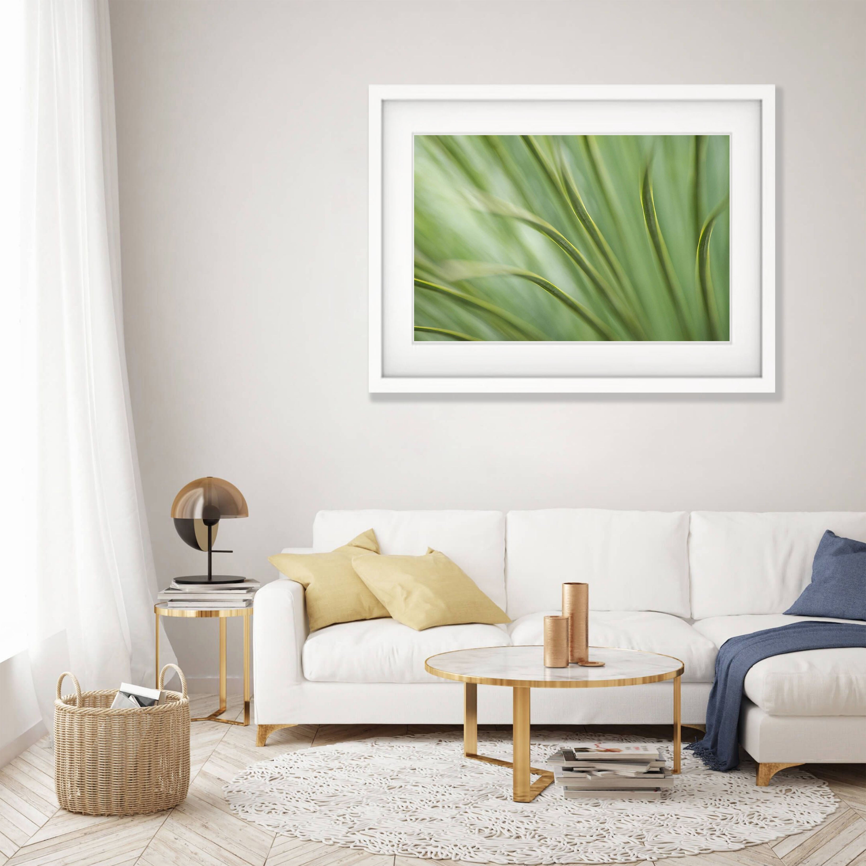 Grass Tree, Kangaroo Island, South Australia