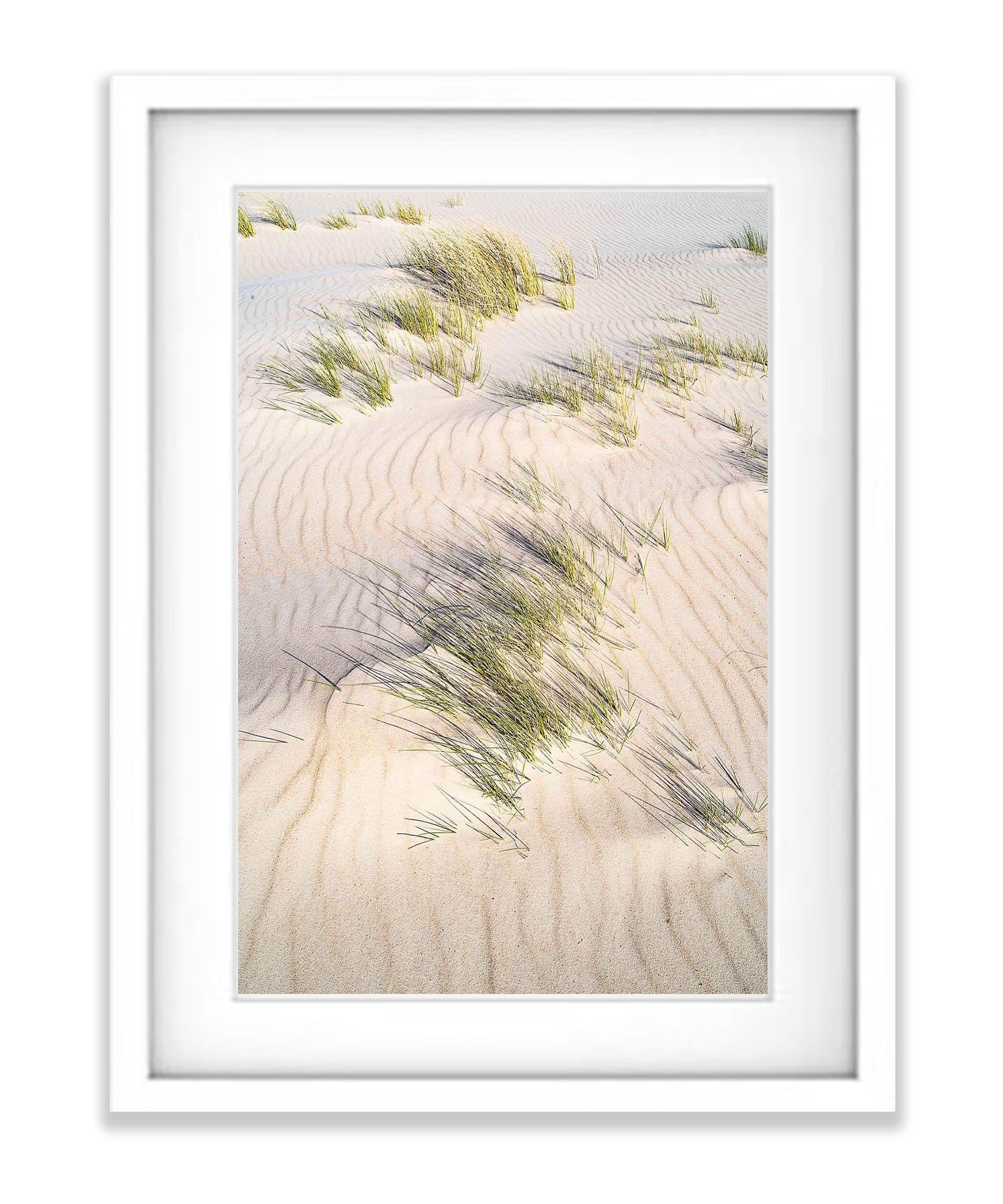 Grass growing in the shifting sands of Bay of Fires