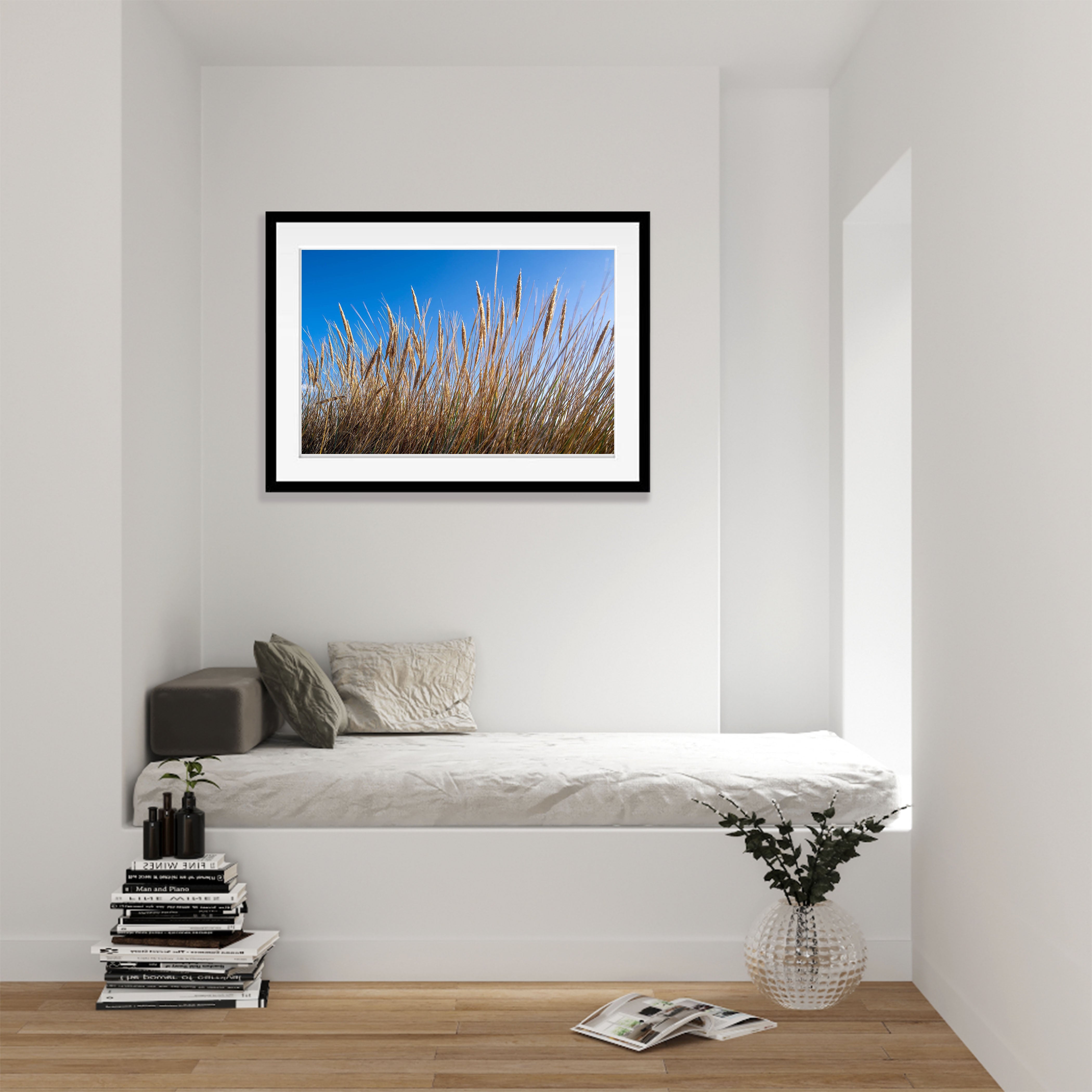 Grasses, Bay of Fires