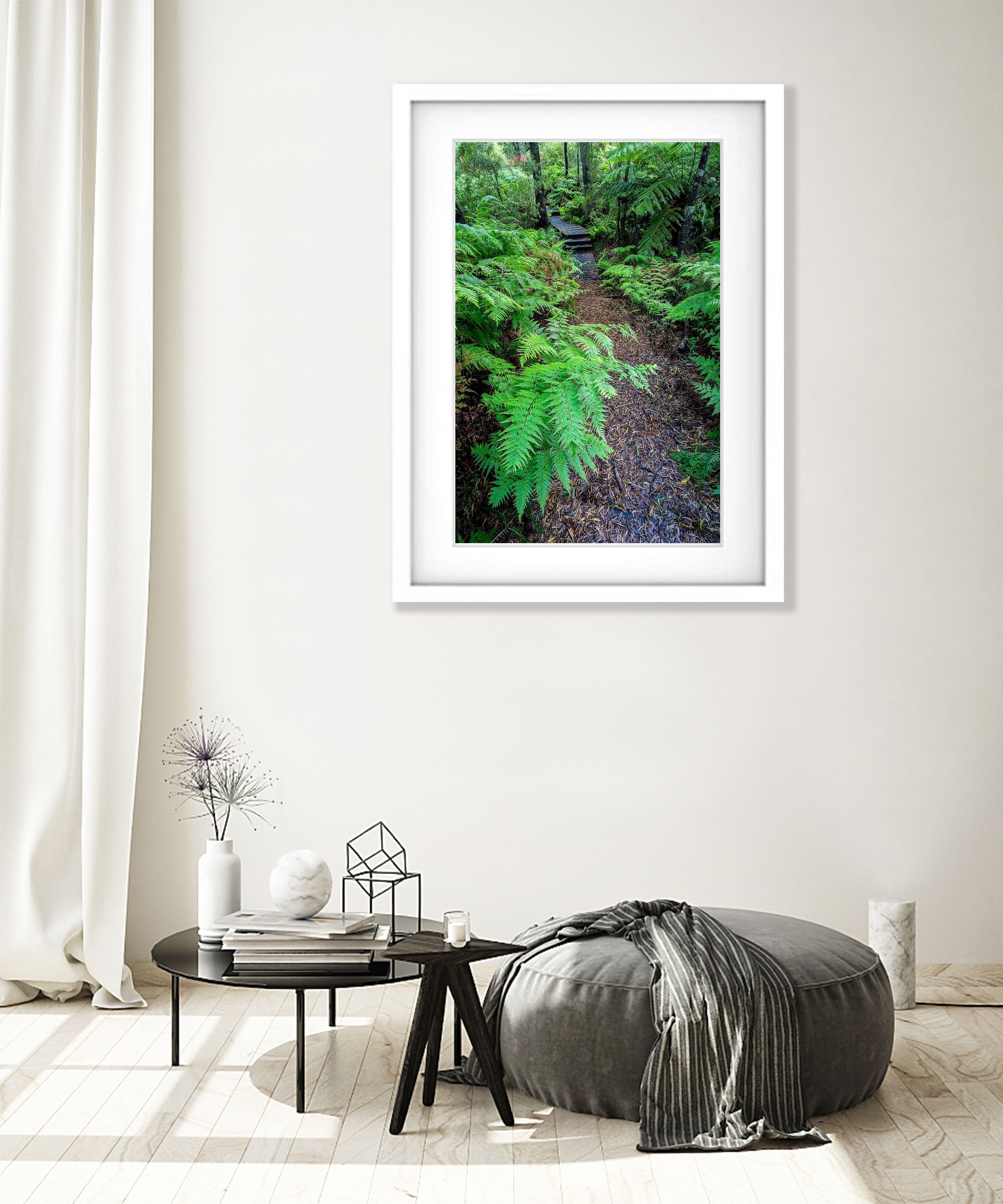 Green's Bush Fernery - Mornington Peninsula, VIC