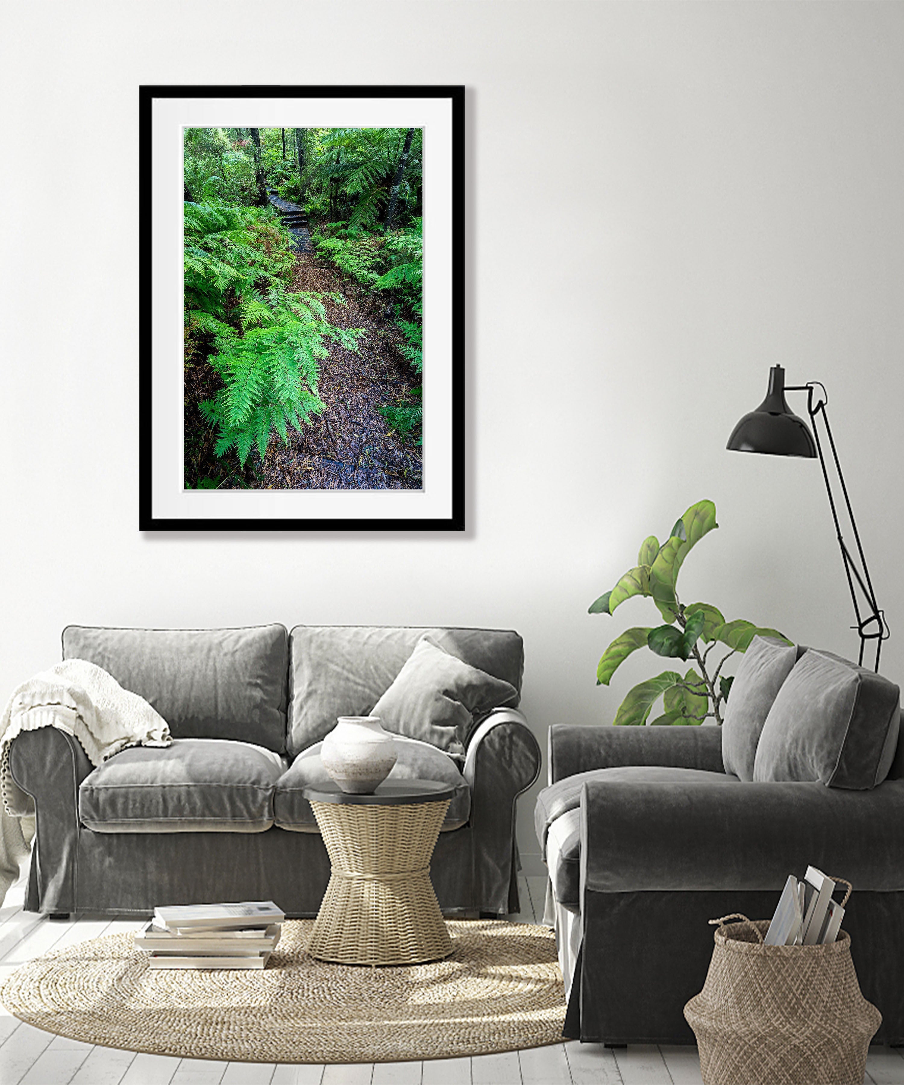 Green's Bush Fernery - Mornington Peninsula, VIC