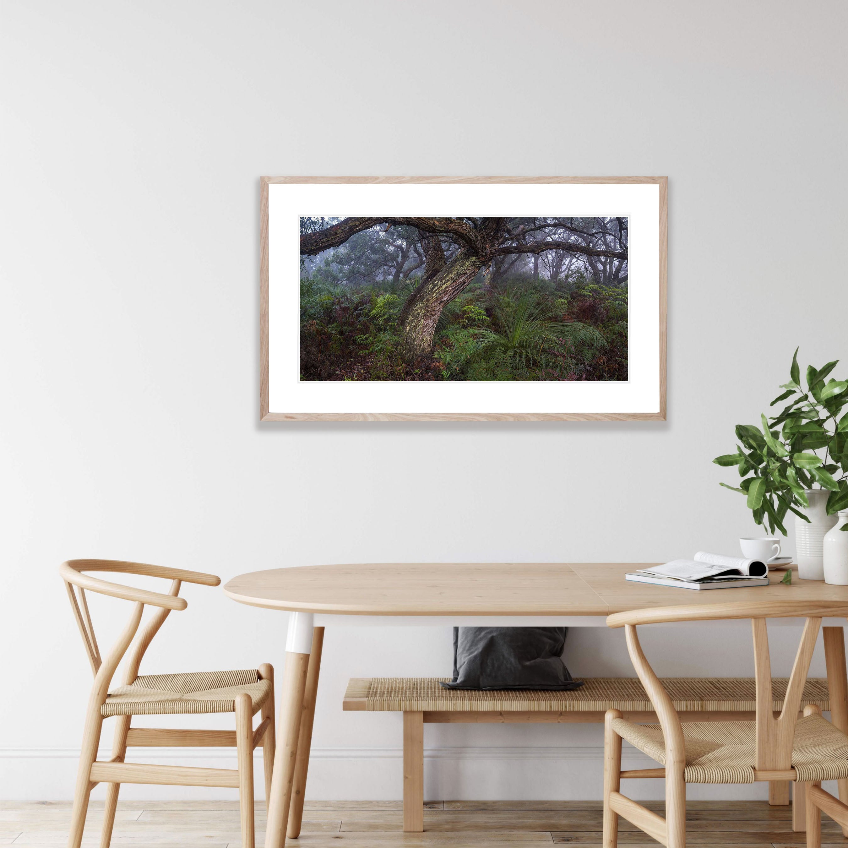 Green's Bush, Mornington Peninsula, VIC