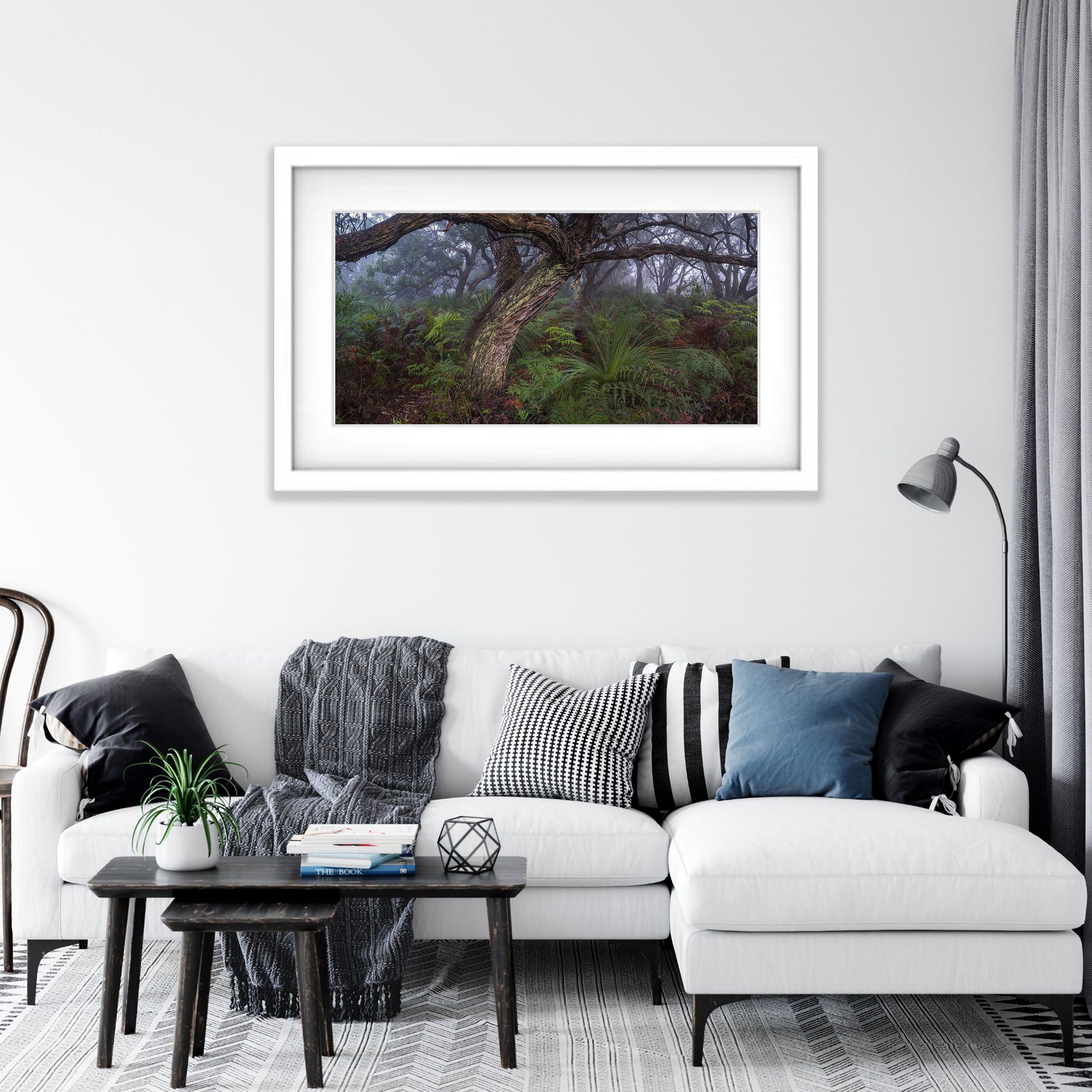 Green's Bush, Mornington Peninsula, VIC