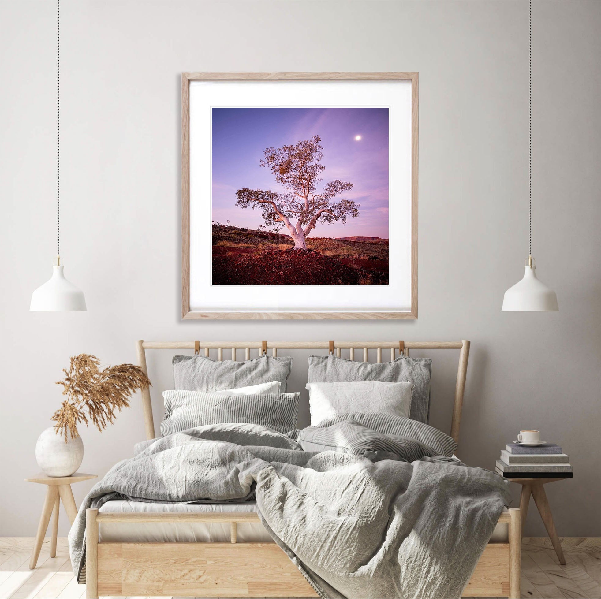 Gum Glow - Karijini, The Pilbara