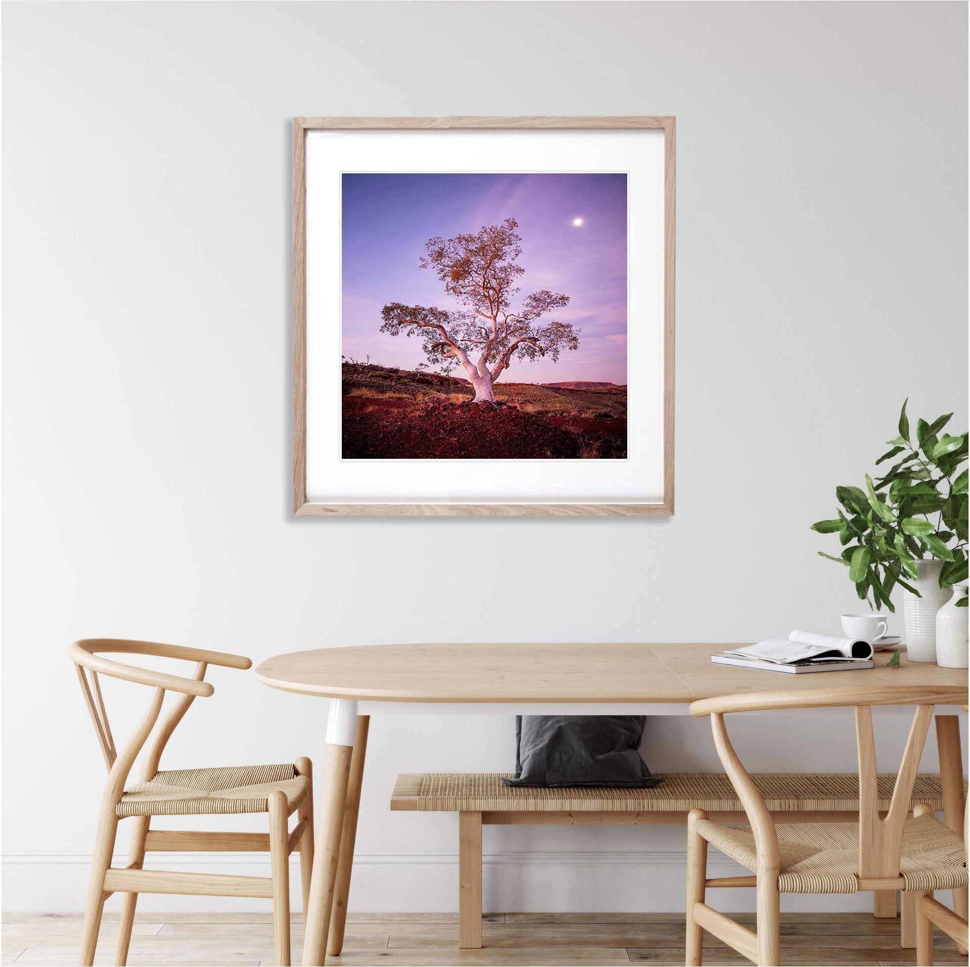 Gum Glow - Karijini, The Pilbara