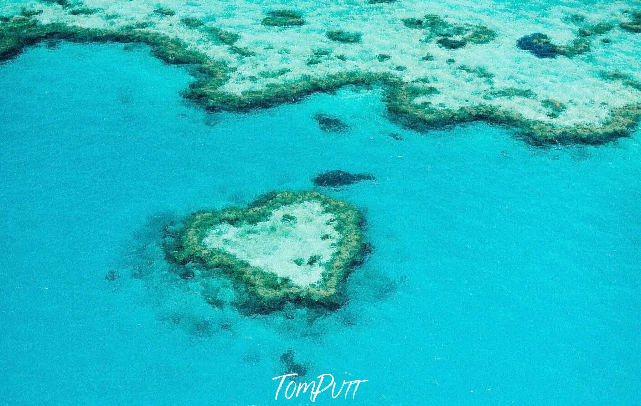 The large grassy texture on a clear ocean, Heart Reef - Great Barrier Reef QLD