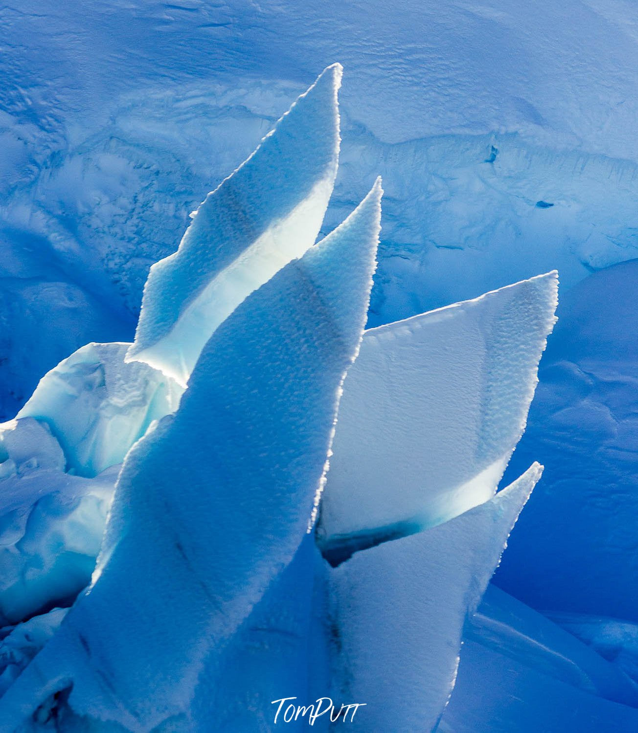 A flower-like long-standing snowy texture, New Zealand #31