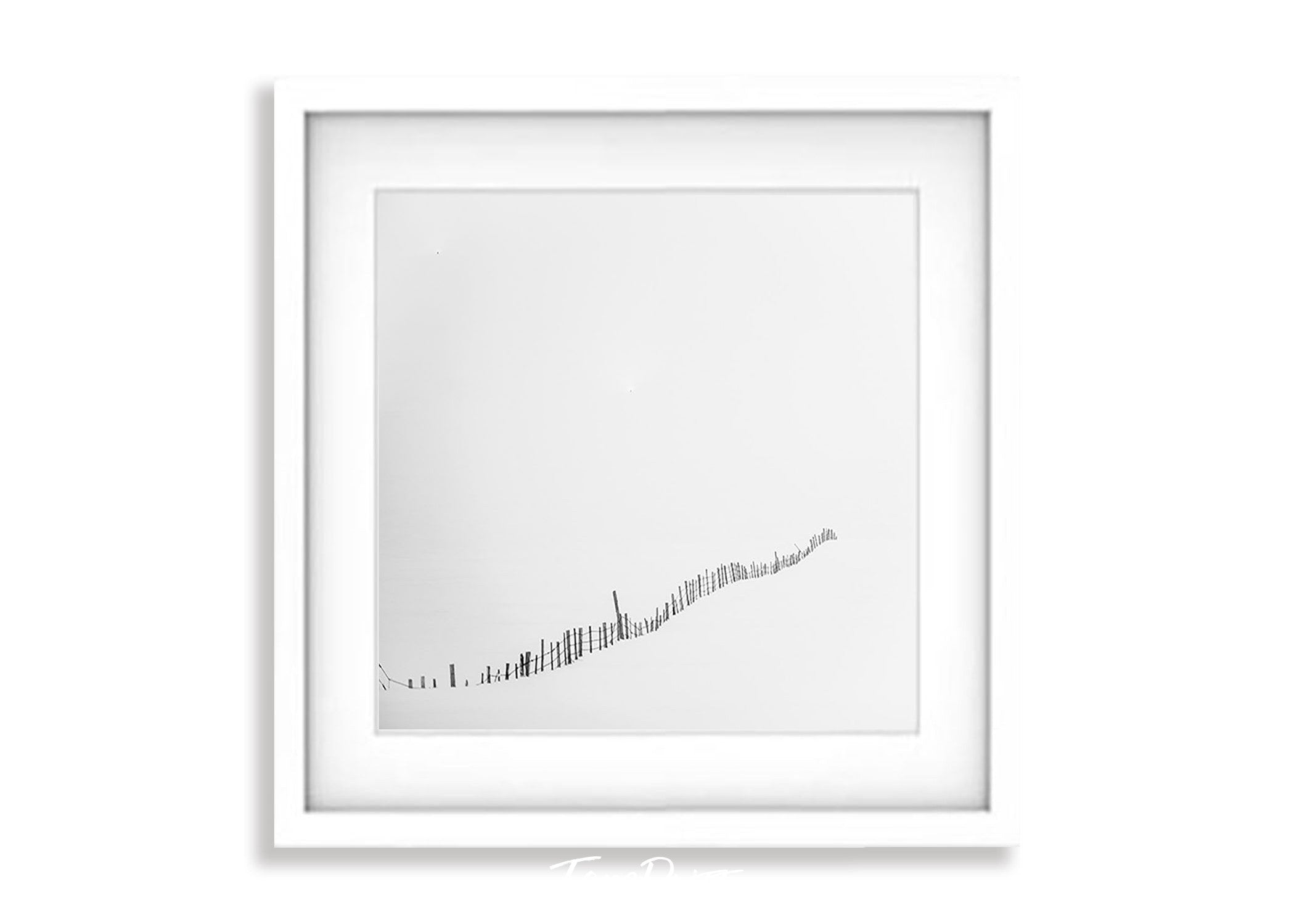 Lone Fence Line, Iceland