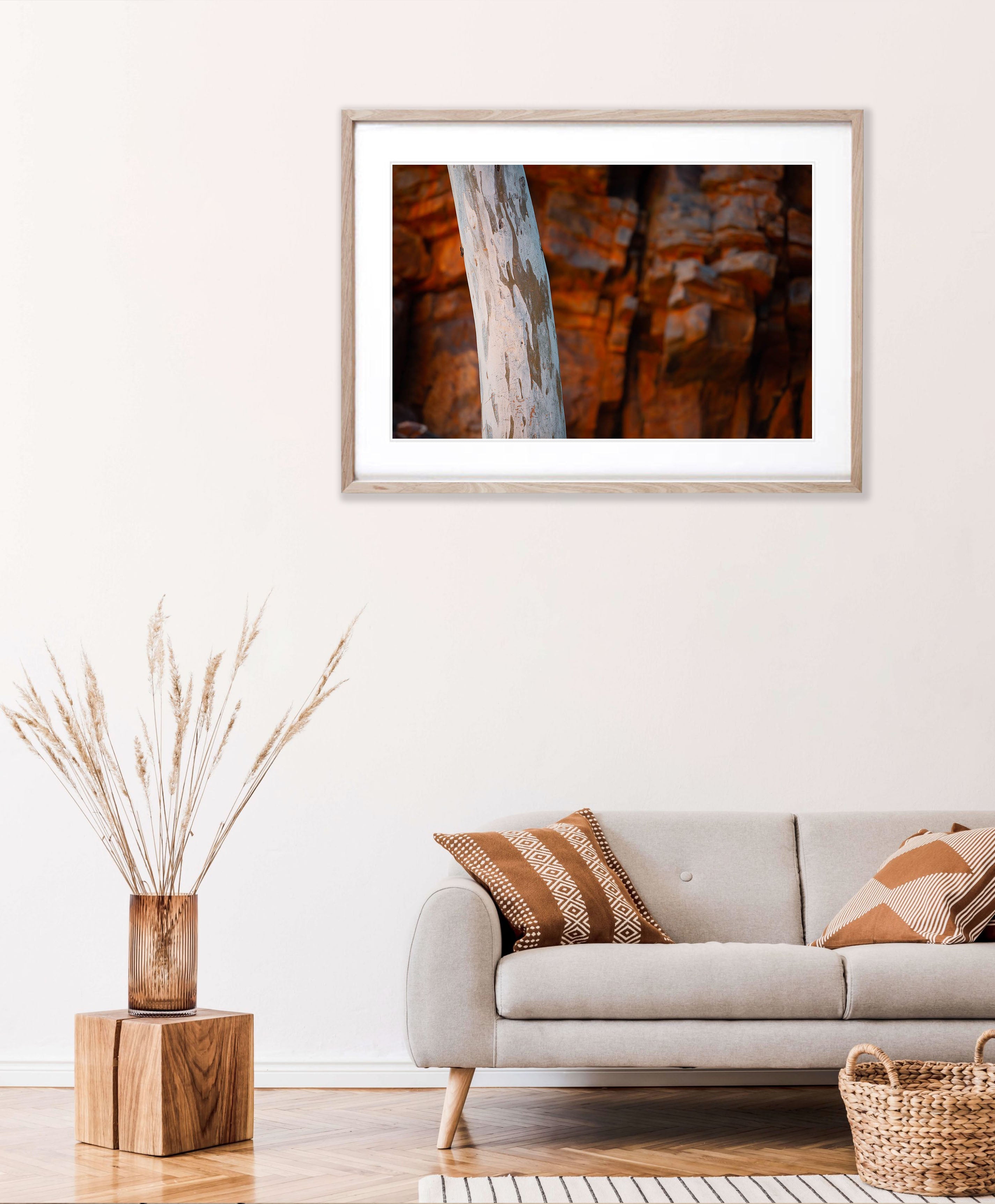 Inland Gumtree Trunk, West MacDonnell Ranges - Northern Territory