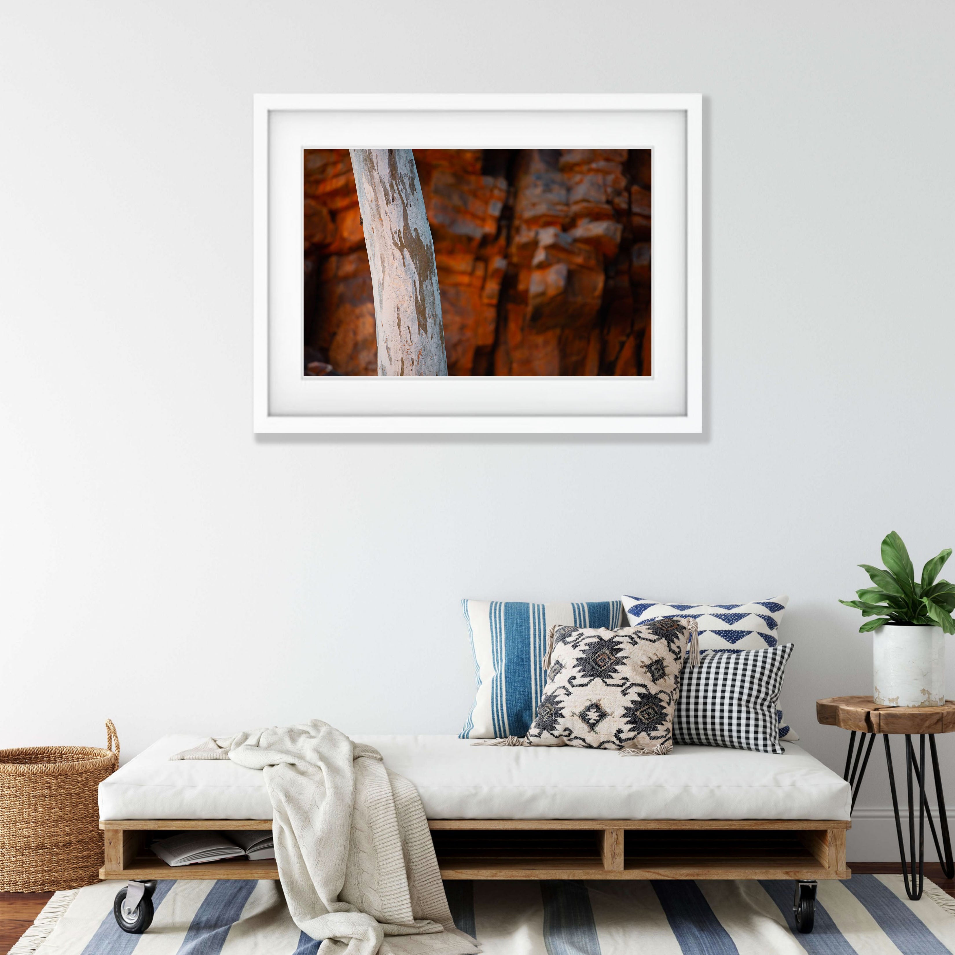 Inland Gumtree Trunk, West MacDonnell Ranges - Northern Territory