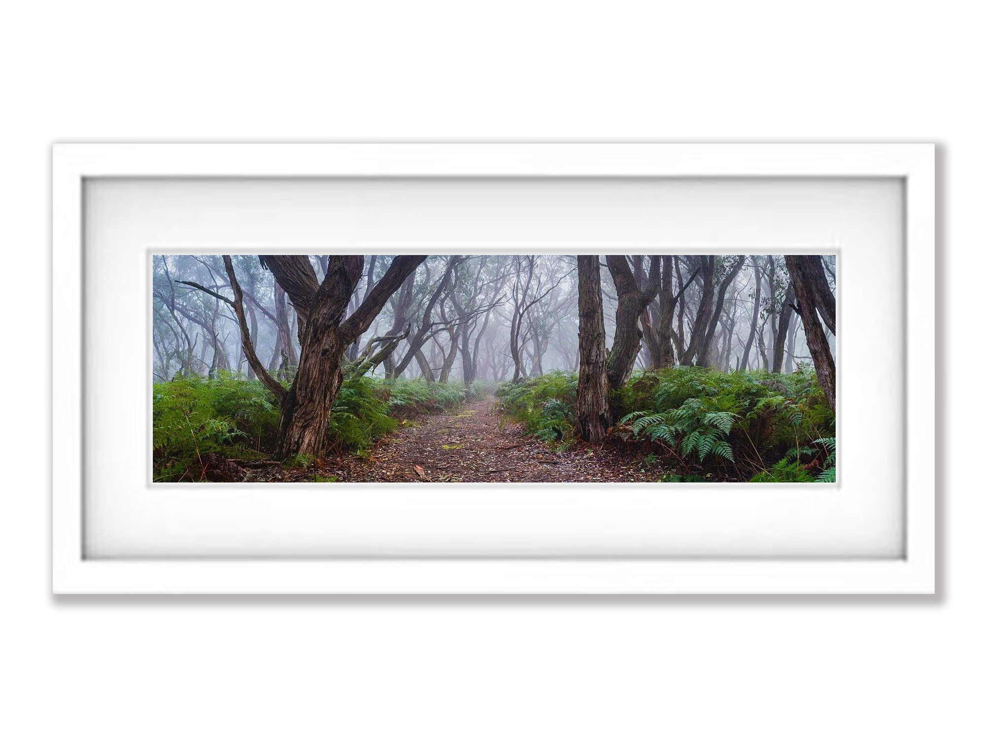 ARTWORK INSTOCK - Into the Forest, Mornington Peninsula 200 x 66cms Canvas Raw Oak Framed Print
