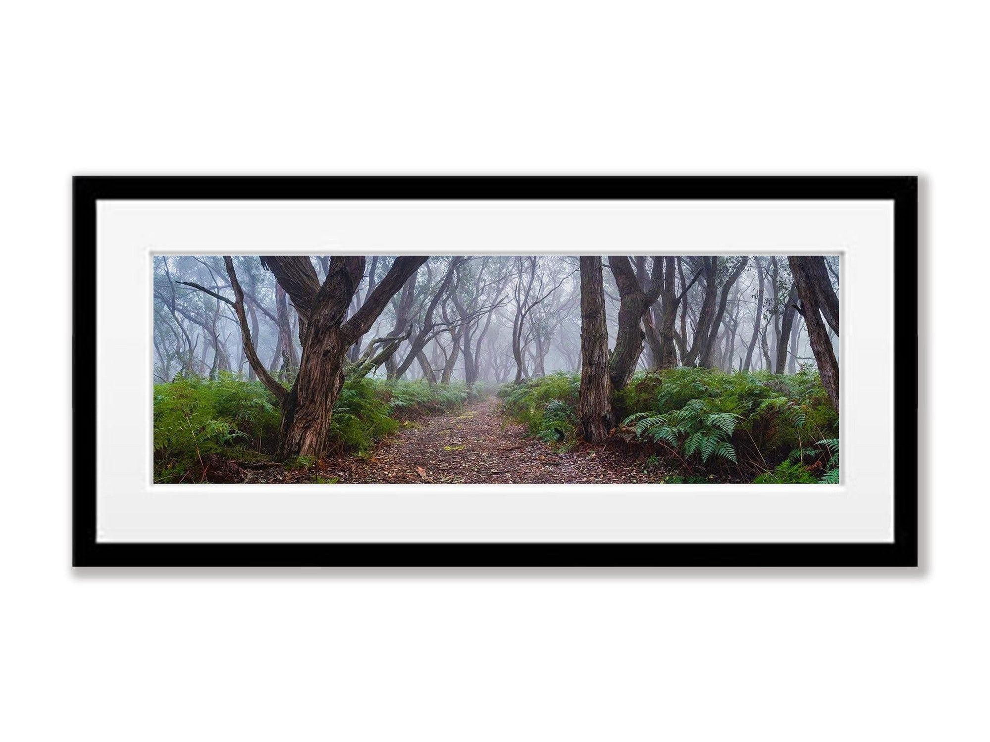 ARTWORK INSTOCK - Into the Forest, Mornington Peninsula 200 x 66cms Canvas Raw Oak Framed Print