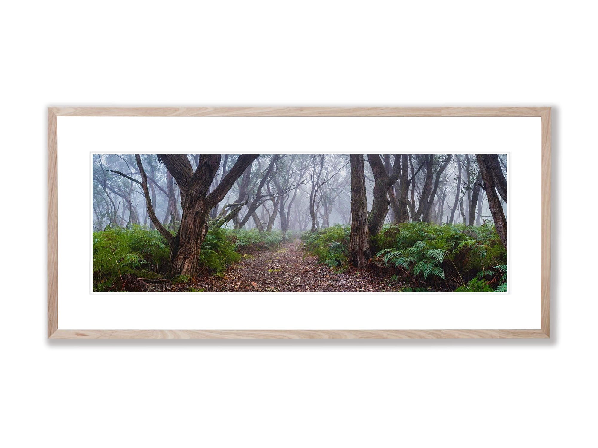 ARTWORK INSTOCK - Into the Forest, Mornington Peninsula 200 x 66cms Canvas Raw Oak Framed Print
