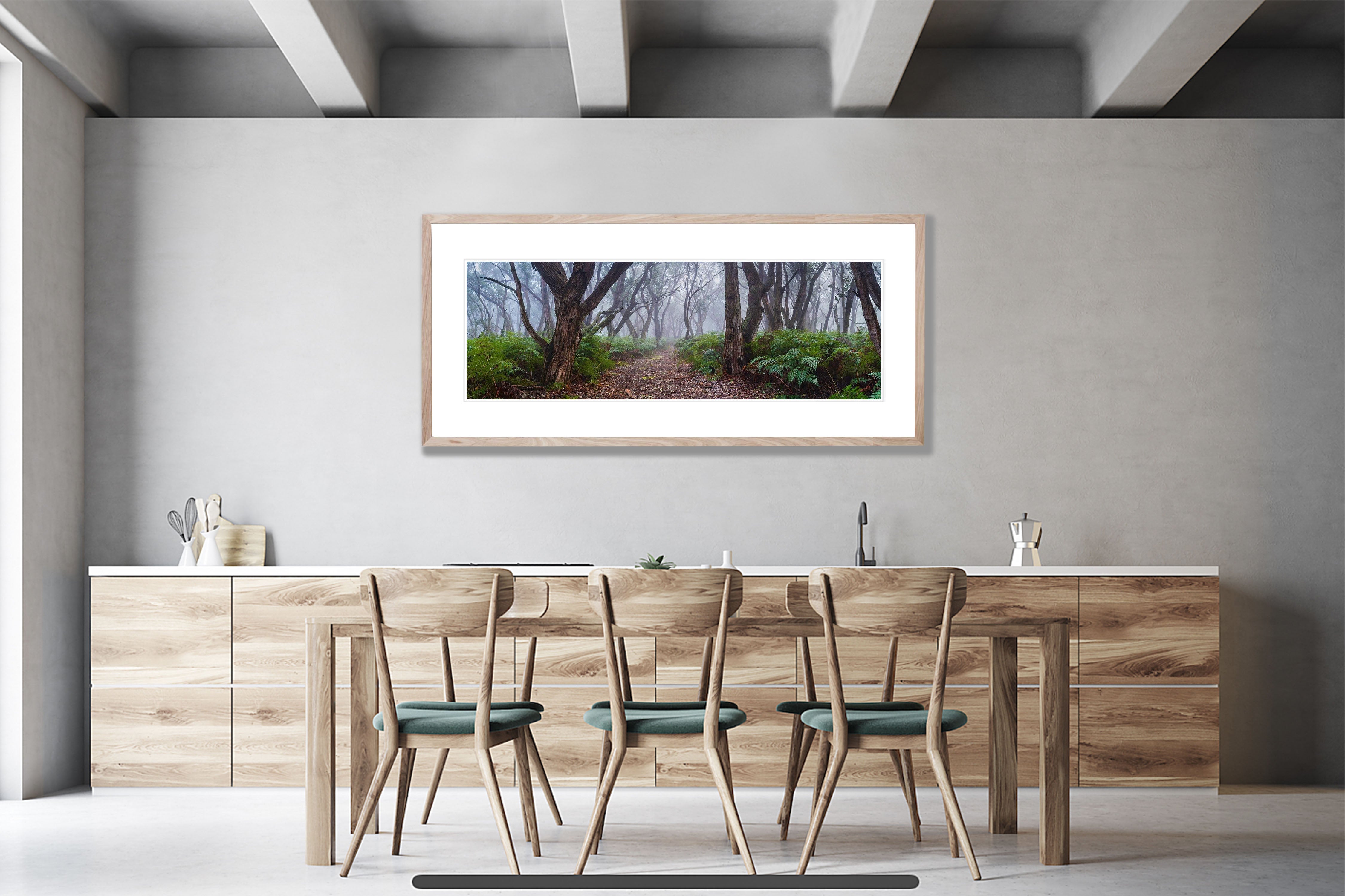 ARTWORK INSTOCK - Into the Forest, Mornington Peninsula 200 x 66cms Canvas Raw Oak Framed Print
