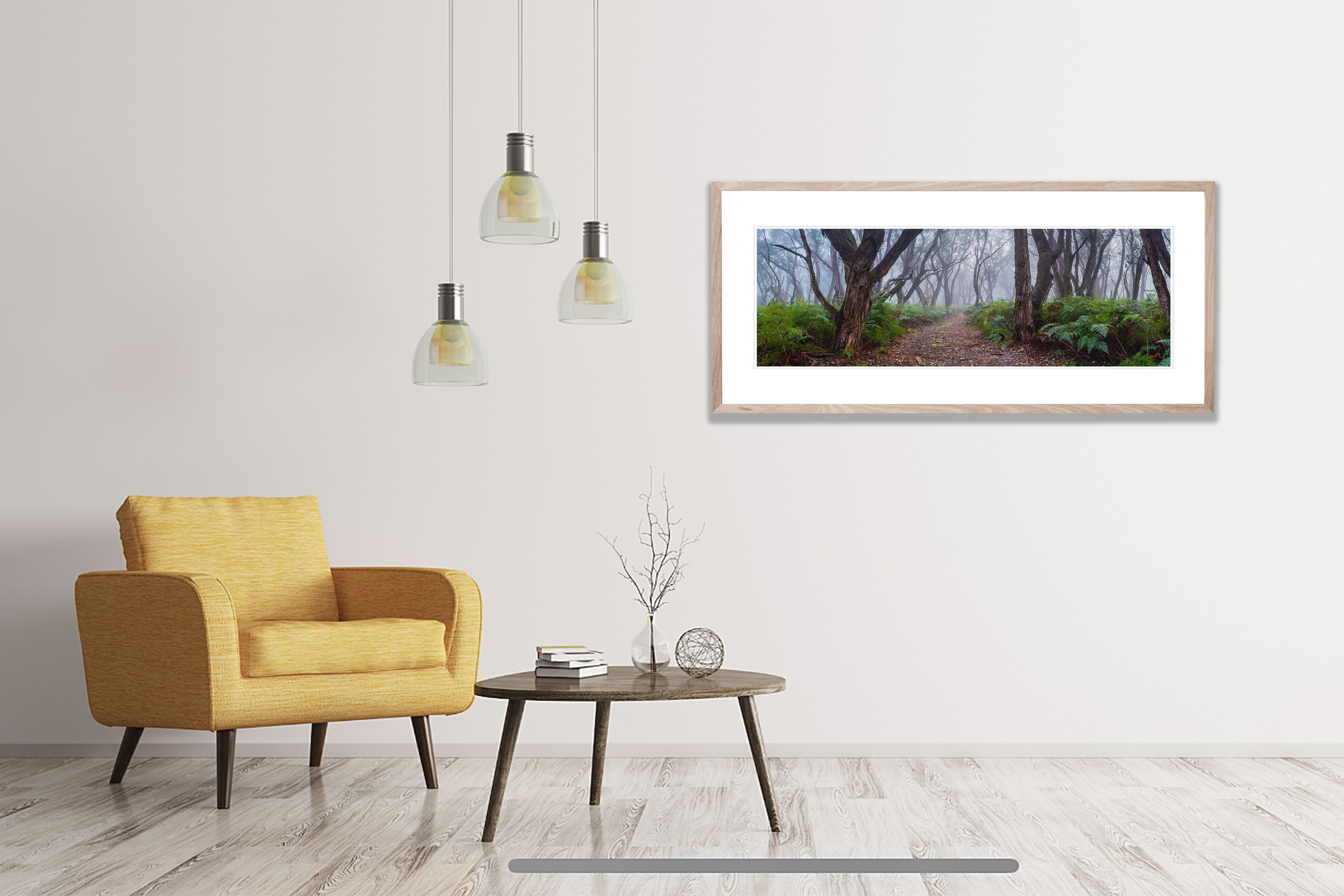 ARTWORK INSTOCK - Into the Forest, Mornington Peninsula 200 x 66cms Canvas Raw Oak Framed Print