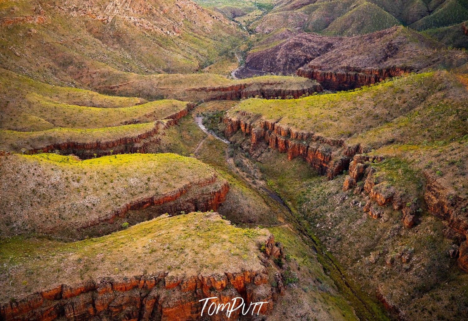 A green hill area with a lot of grass and bushes everywhere, Jurassic, Carr Boyd Ranges, The Kimberley