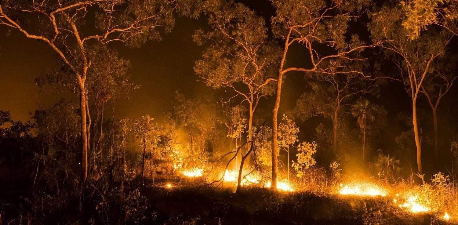 Night view of a burning forest, Kakadu Fire - Northern Territory