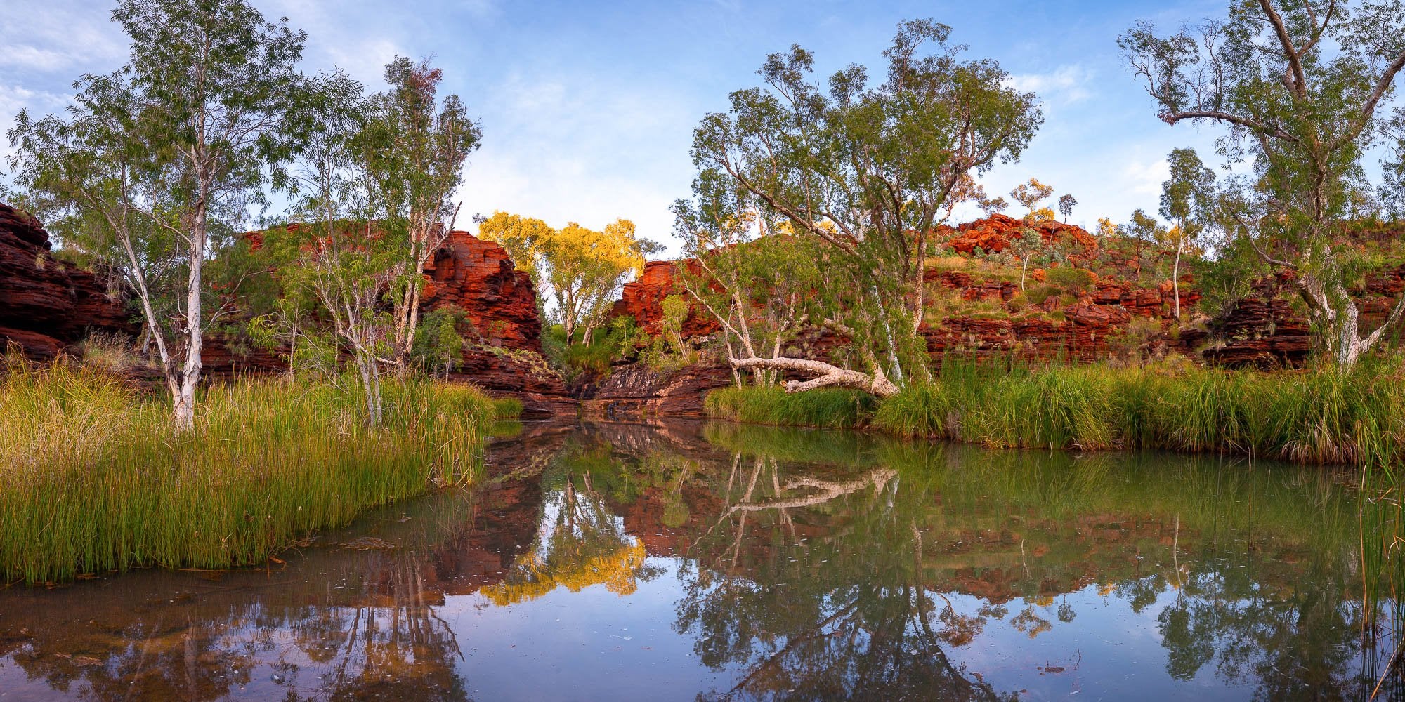 Kalamina Gorge Waterhole, Karijini, The Pilbara
