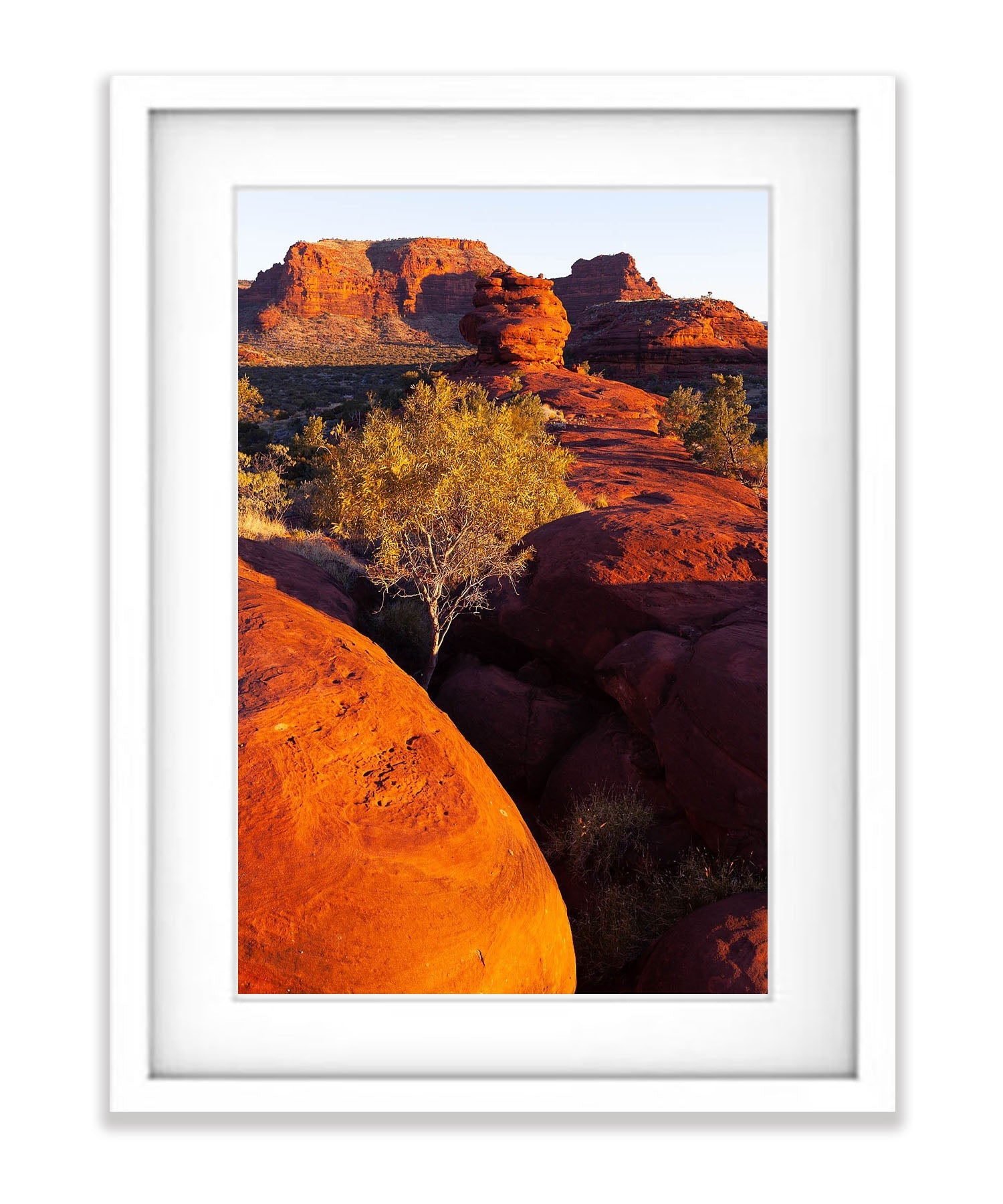 Kalaranga Dreaming, Finke Gorge National Park - Northern Territory