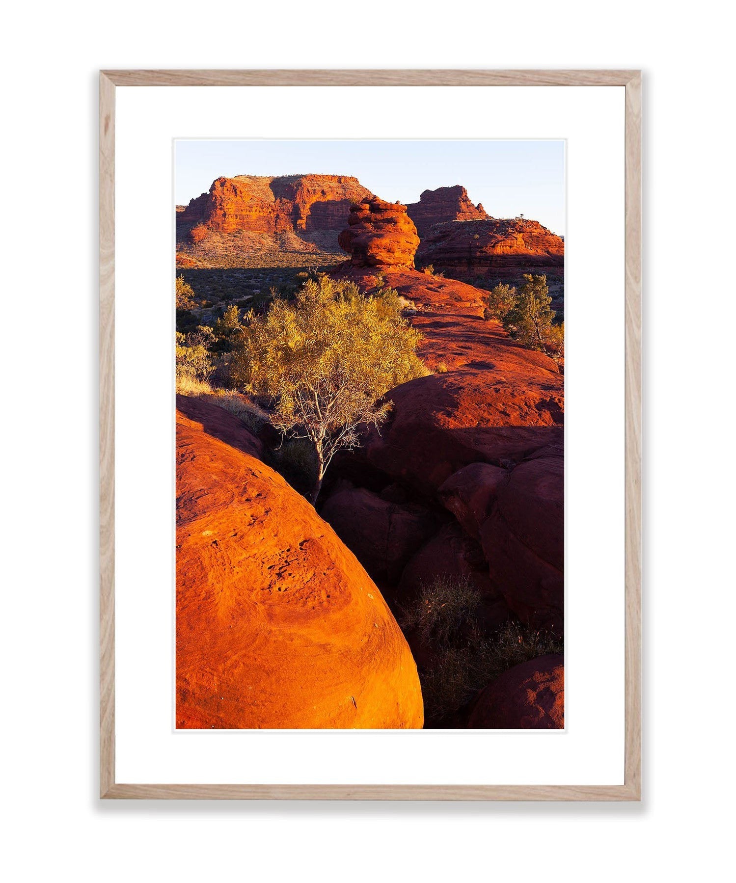 Kalaranga Dreaming, Finke Gorge National Park - Northern Territory