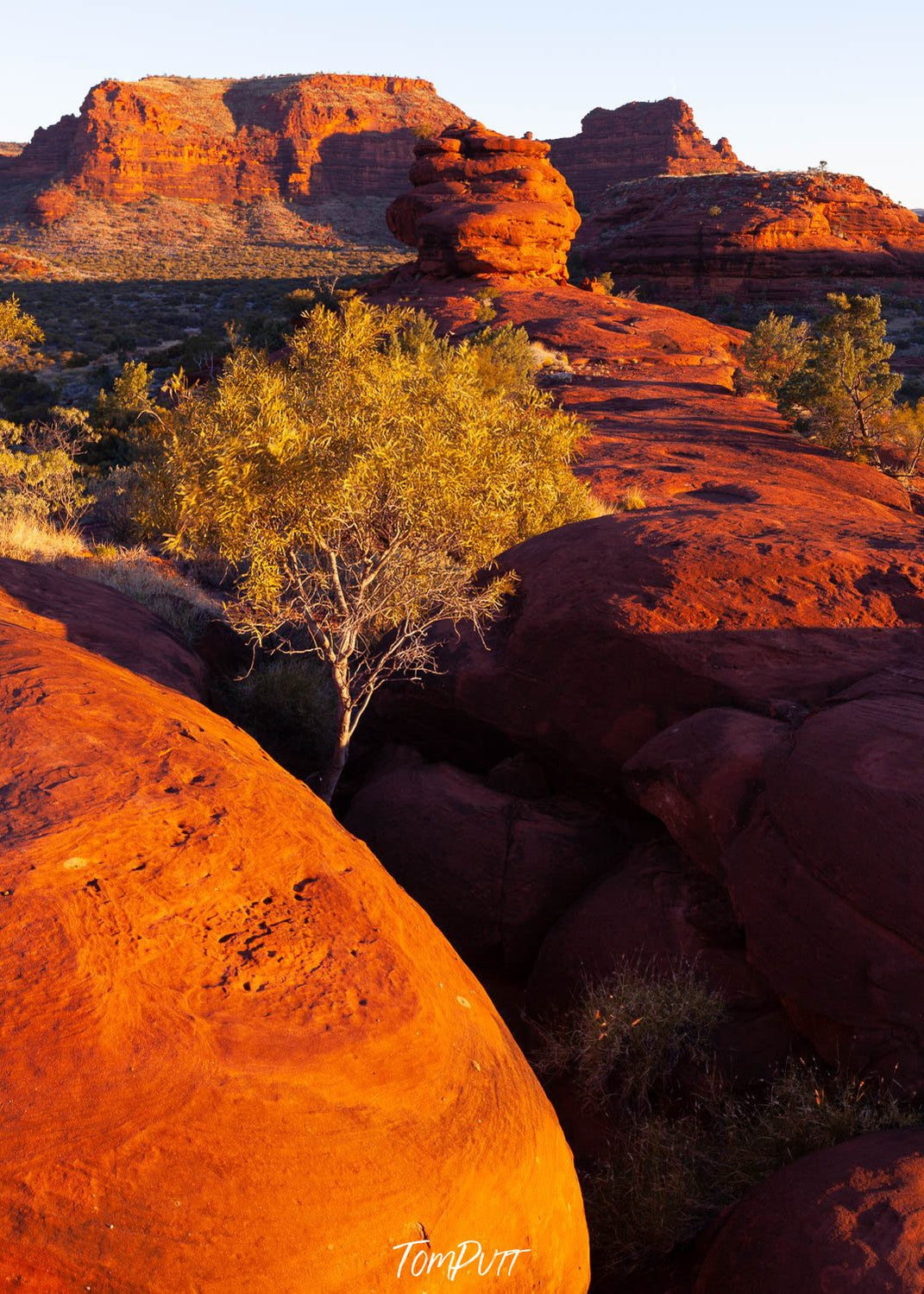 A rocky mountain area with greenery and a sunlight hitting on the scene, Kalaranga Dreaming, Finke Gorge National Park - Northern Territory