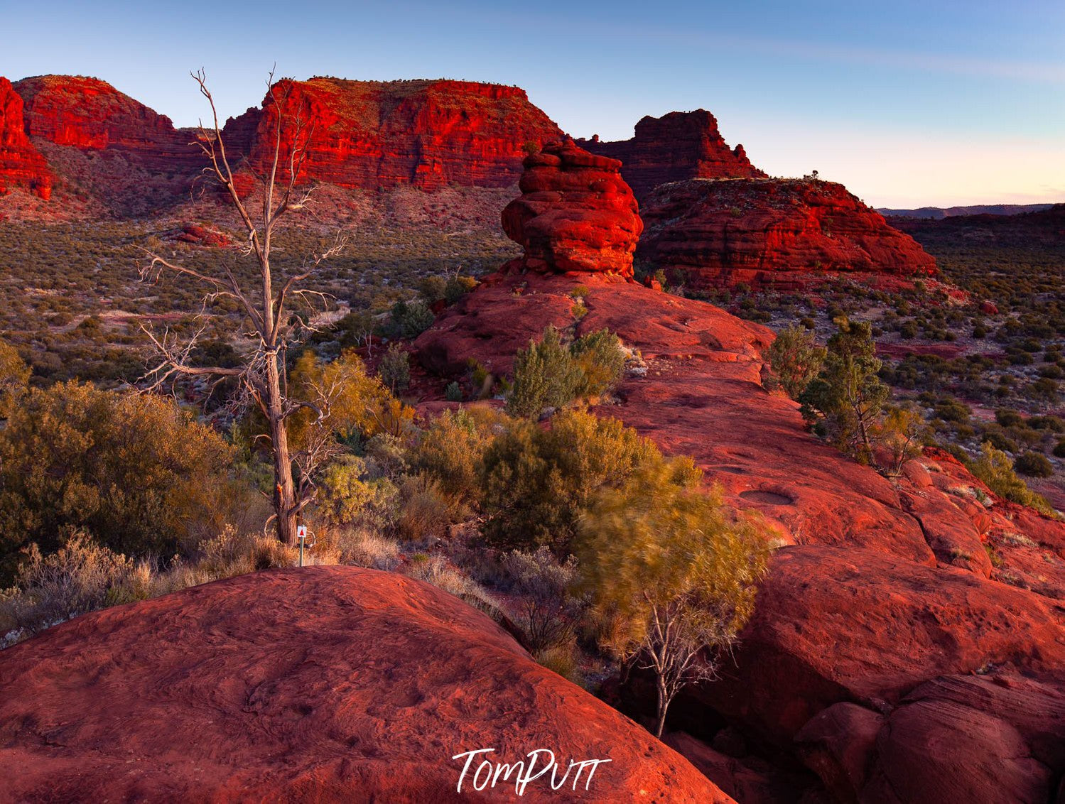Giant mountain walls with greenery and partially hitting sunlight, Kalaranga, Finke Gorge National Park - Northern Territory